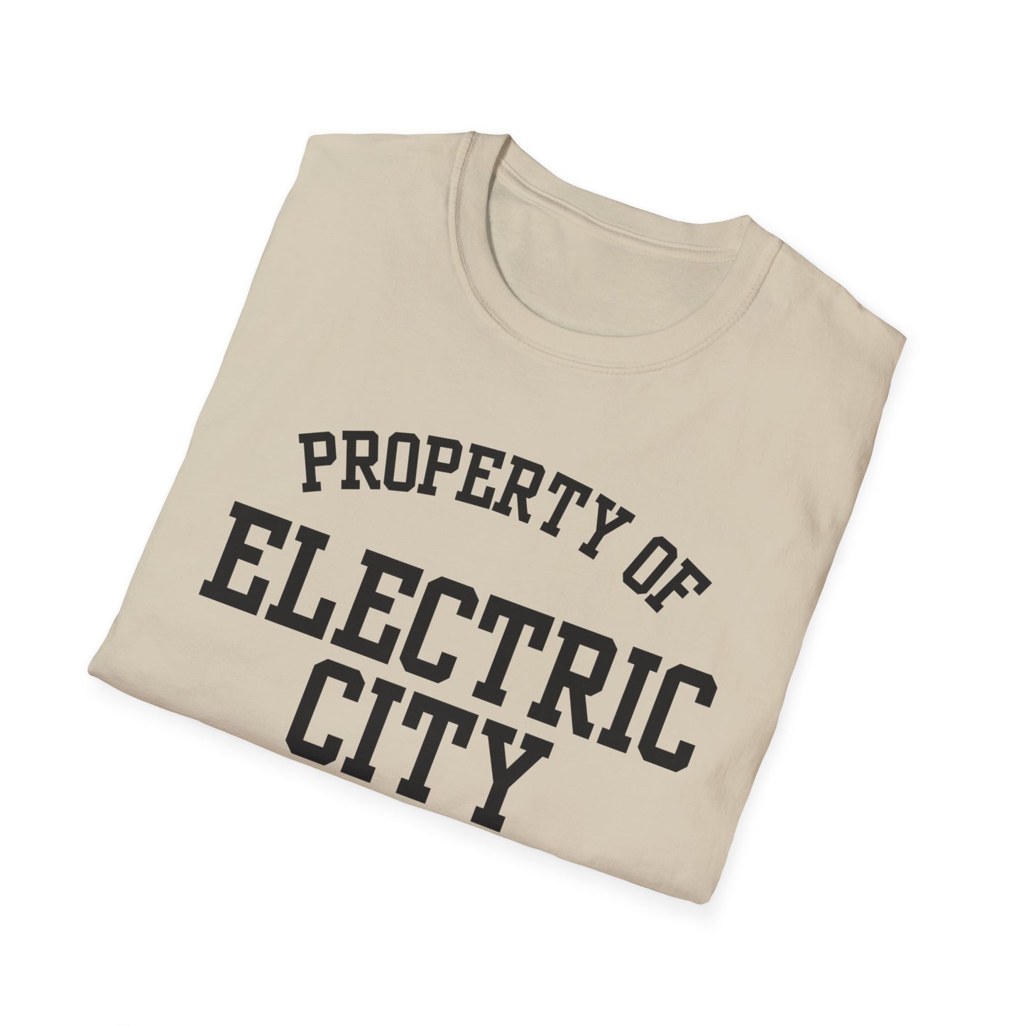 Electric City Funny City Name T-Shirt hometown pride shirt quirky town shirt funny city name shirt unisex funny shirt retro city name shirt