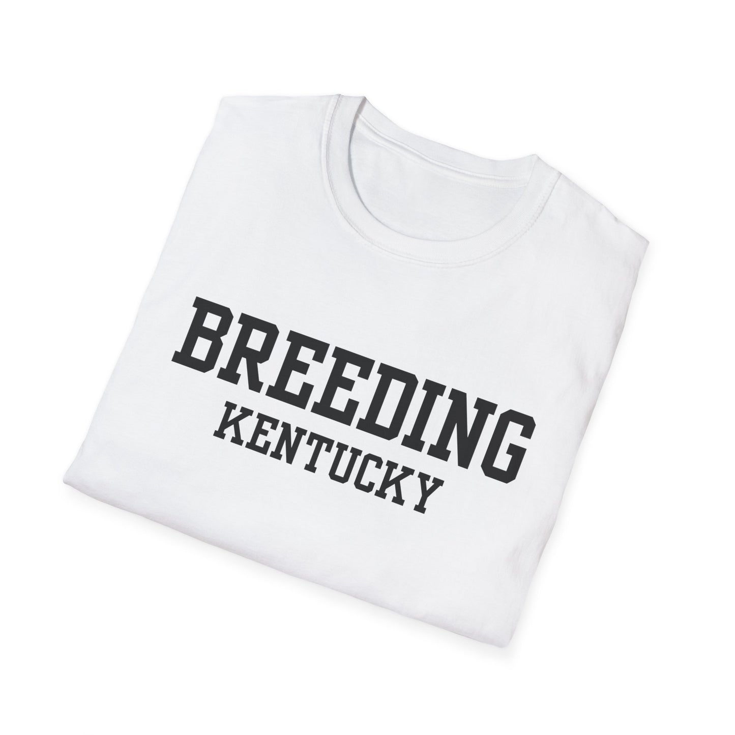 Breeding Funny City Name T-Shirt novelty t-shirt small town gift weird town shirt funny city name travel gift tee ironic tee