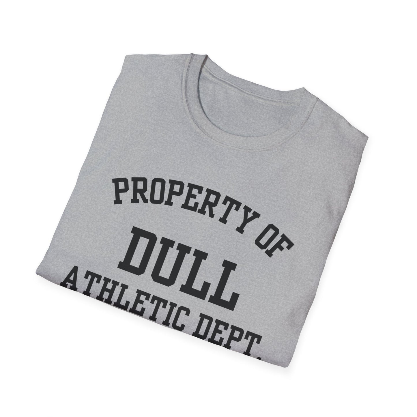 Dull Funny City Name T-Shirt novelty t-shirt sarcastic shirt local pride tee small town gift ironic tee hometown humor quirky place tee