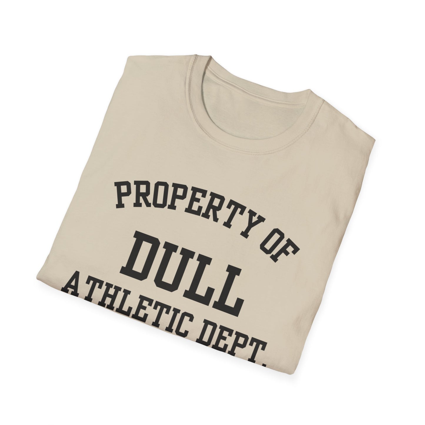 Dull Funny City Name T-Shirt novelty t-shirt sarcastic shirt local pride tee small town gift ironic tee hometown humor quirky place tee