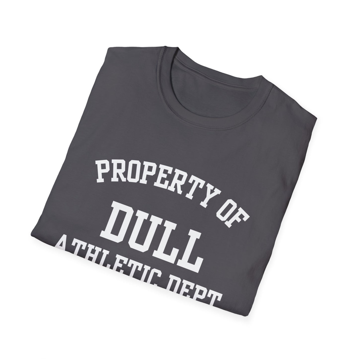Dull Funny City Name T-Shirt quirky place tee novelty t-shirt custom city tee small town gift sarcastic shirt ironic tee gag gift tee