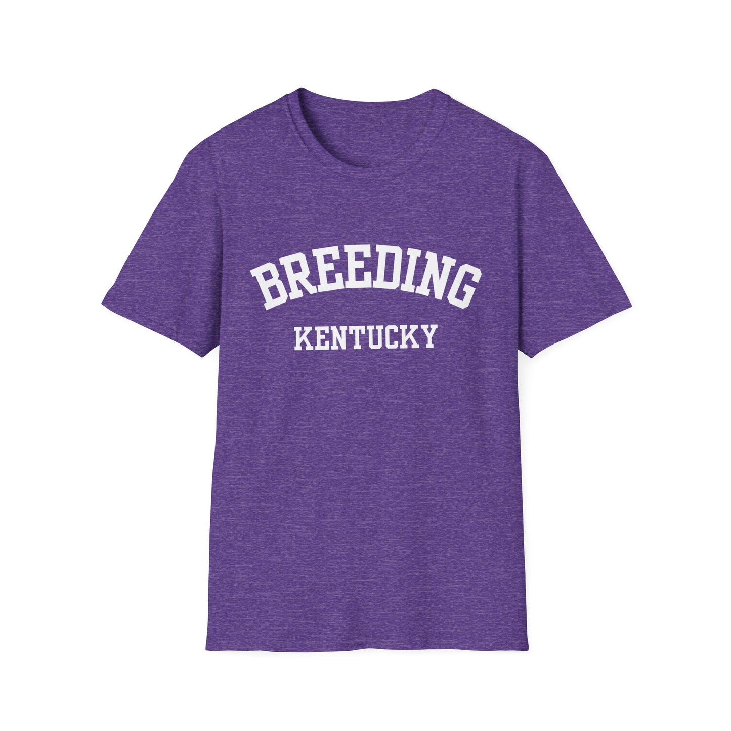 Breeding Funny City Name T-Shirt small town gift silly town tee travel gift tee gag gift tee sarcastic shirt ironic tee hometown humor