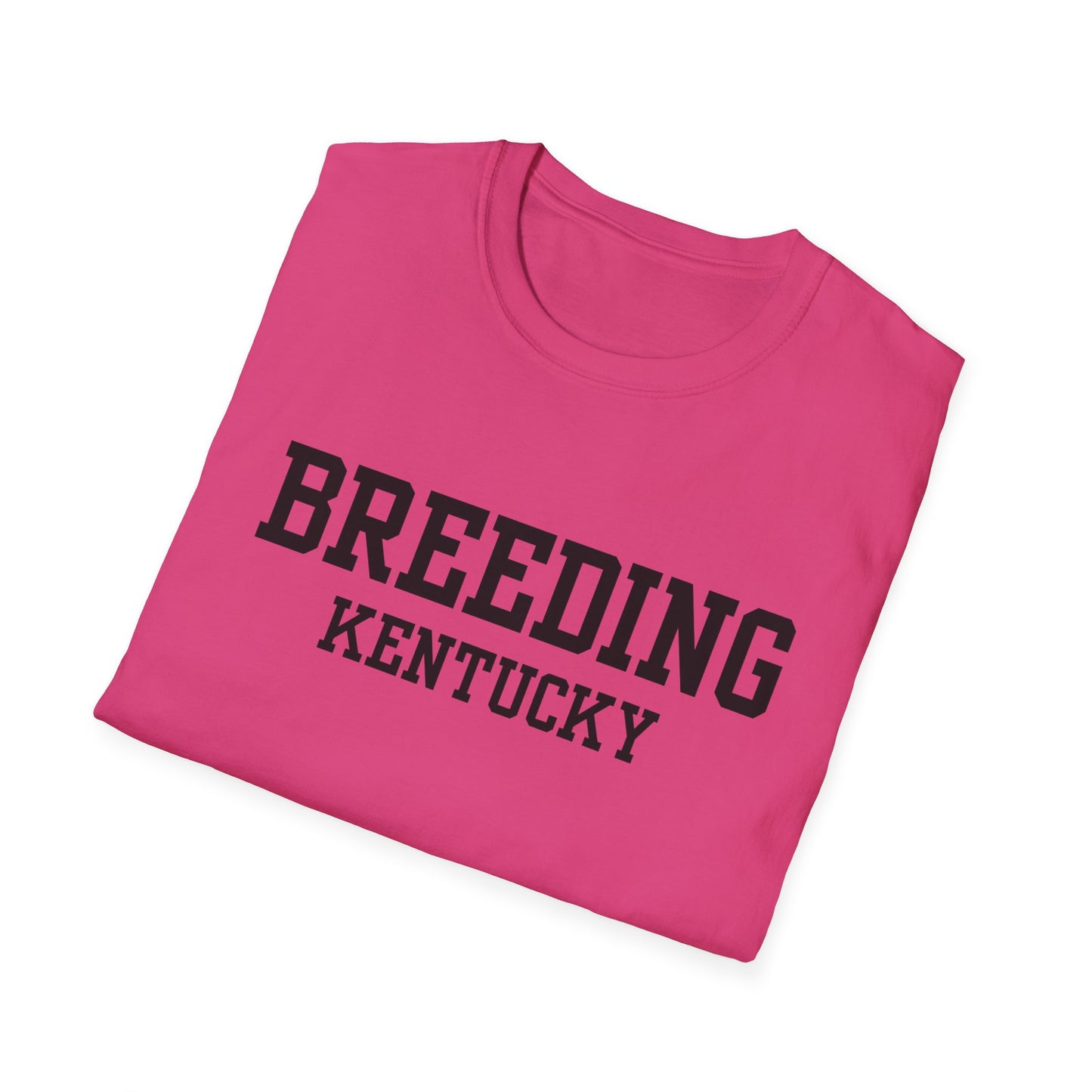 Breeding Funny City Name T-Shirt novelty t-shirt small town gift weird town shirt funny city name travel gift tee ironic tee