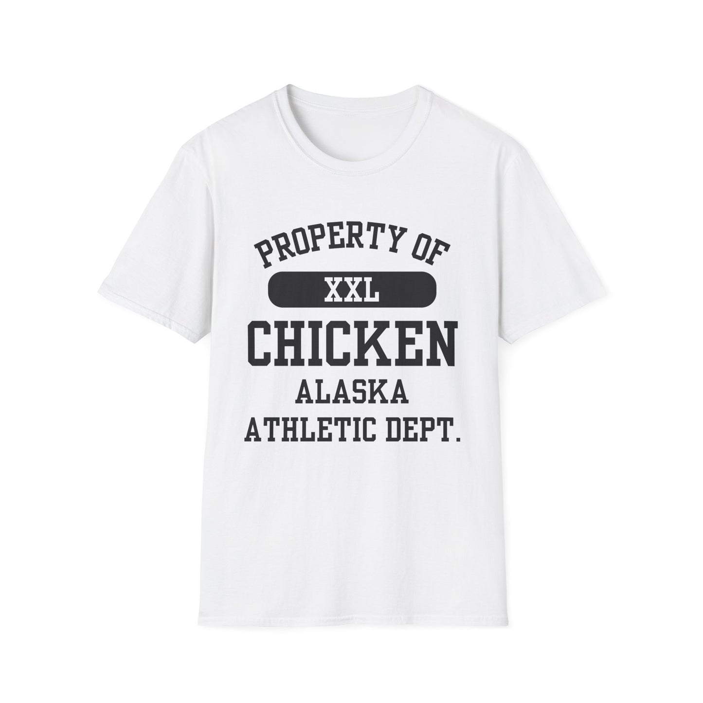 Chicken Funny City Name T-Shirt novelty t-shirt for adults quirky town shirt gift for travelers road trip souvenir shirt hometown pride shirt