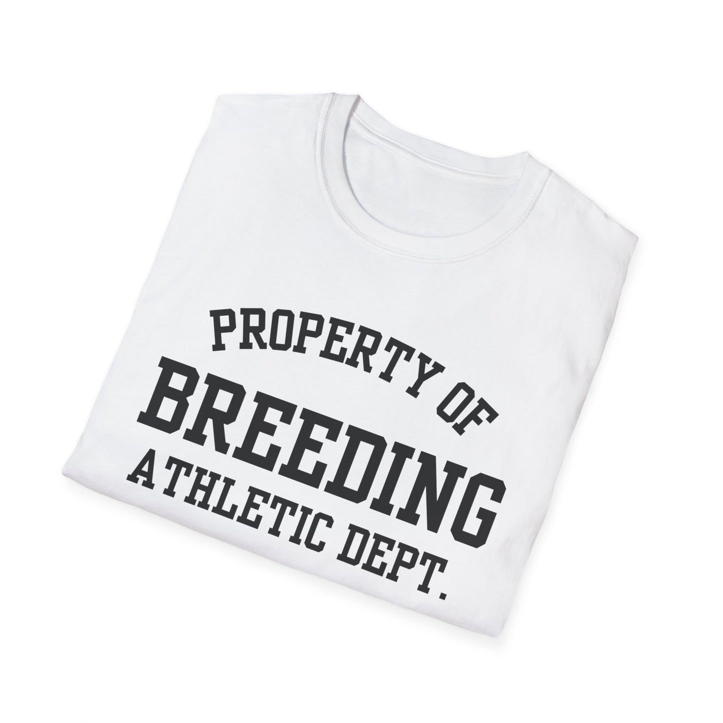Breeding Funny City Name T-Shirt novelty t-shirt for adults gift for travelers road trip souvenir shirt funny city name shirt hometown pride shirt