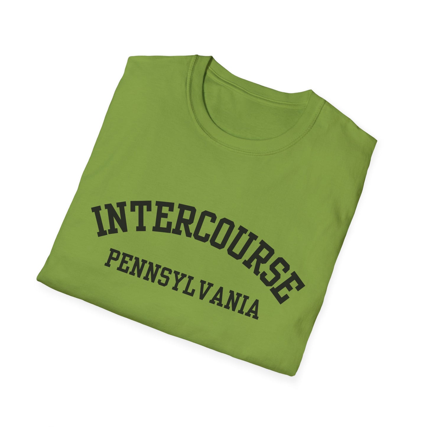 Intercourse Funny City Name T-Shirt novelty t-shirt for adults gift for travelers quirky town shirt funny city name shirt hometown pride shirt