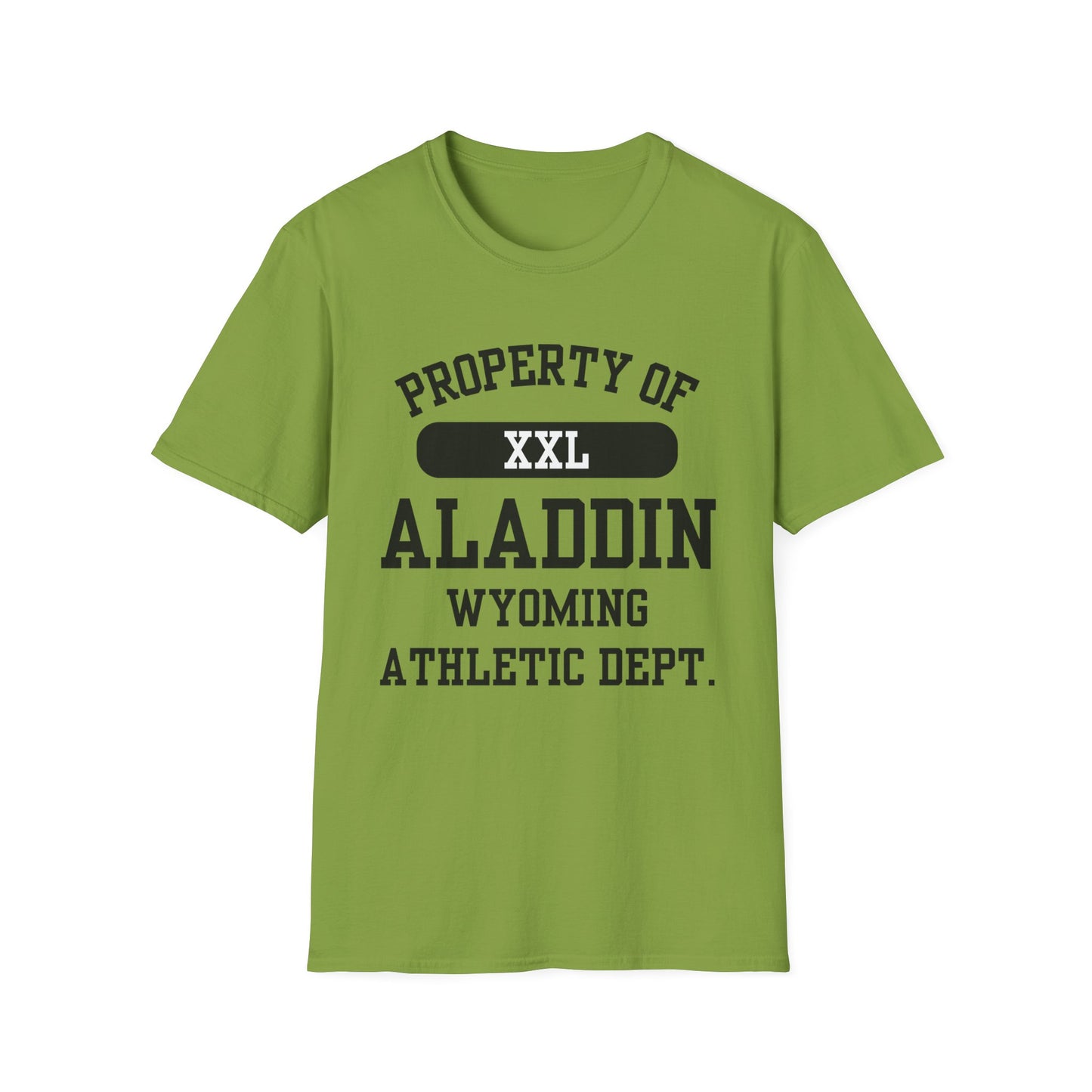 Aladdin Funny City Name T-Shirt retro city name shirt custom city t-shirt funny city name shirt sarcastic graphic tee unisex funny shirt