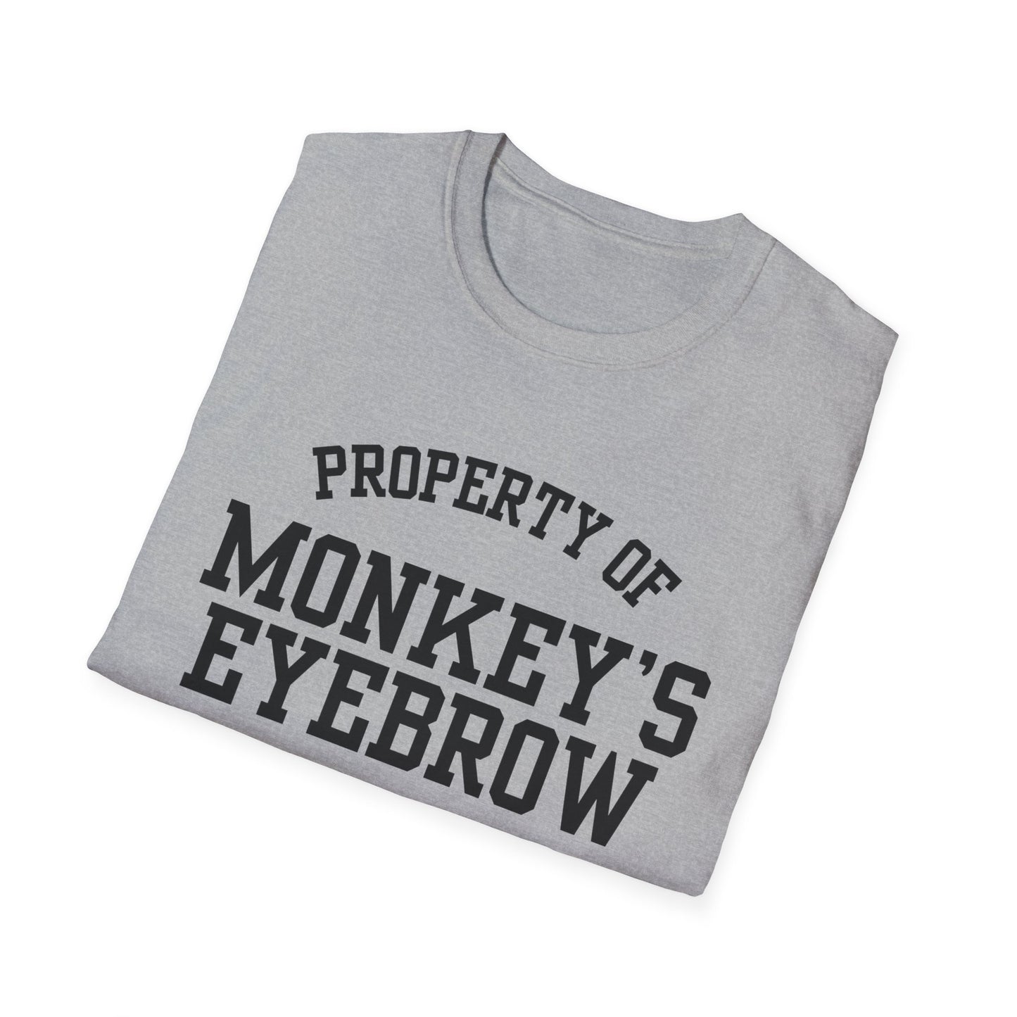 Monkey's Eyebrow Funny City Name T-Shirt sarcastic graphic tee hometown pride shirt retro city name shirt funny city name shirt gift for travelers
