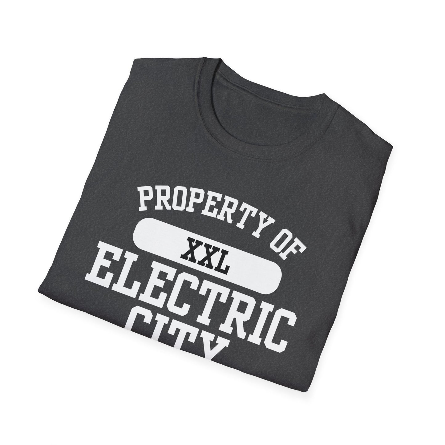 Electric City Funny City Name T-Shirt weird town shirt funny city name local pride tee hometown humor travel gift tee gag gift tee