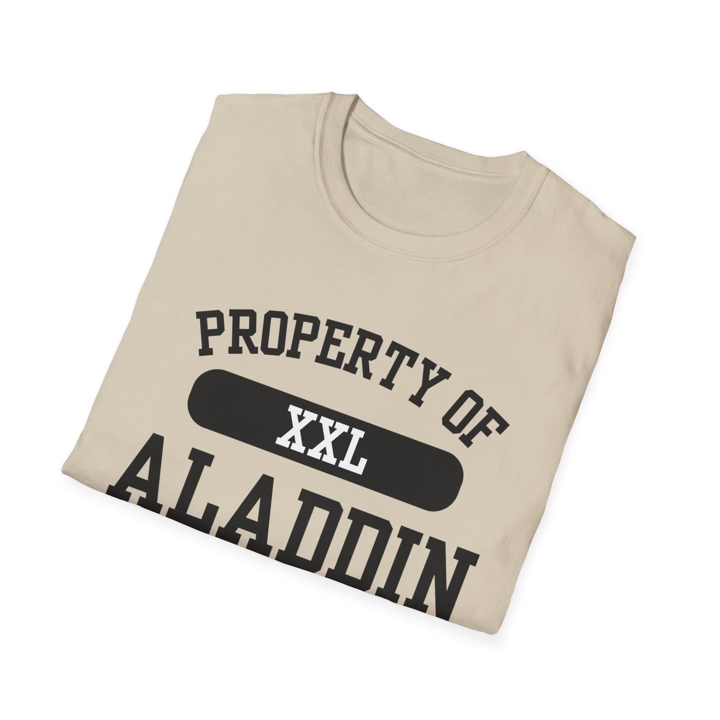 Aladdin Funny City Name T-Shirt retro city name shirt custom city t-shirt funny city name shirt sarcastic graphic tee unisex funny shirt