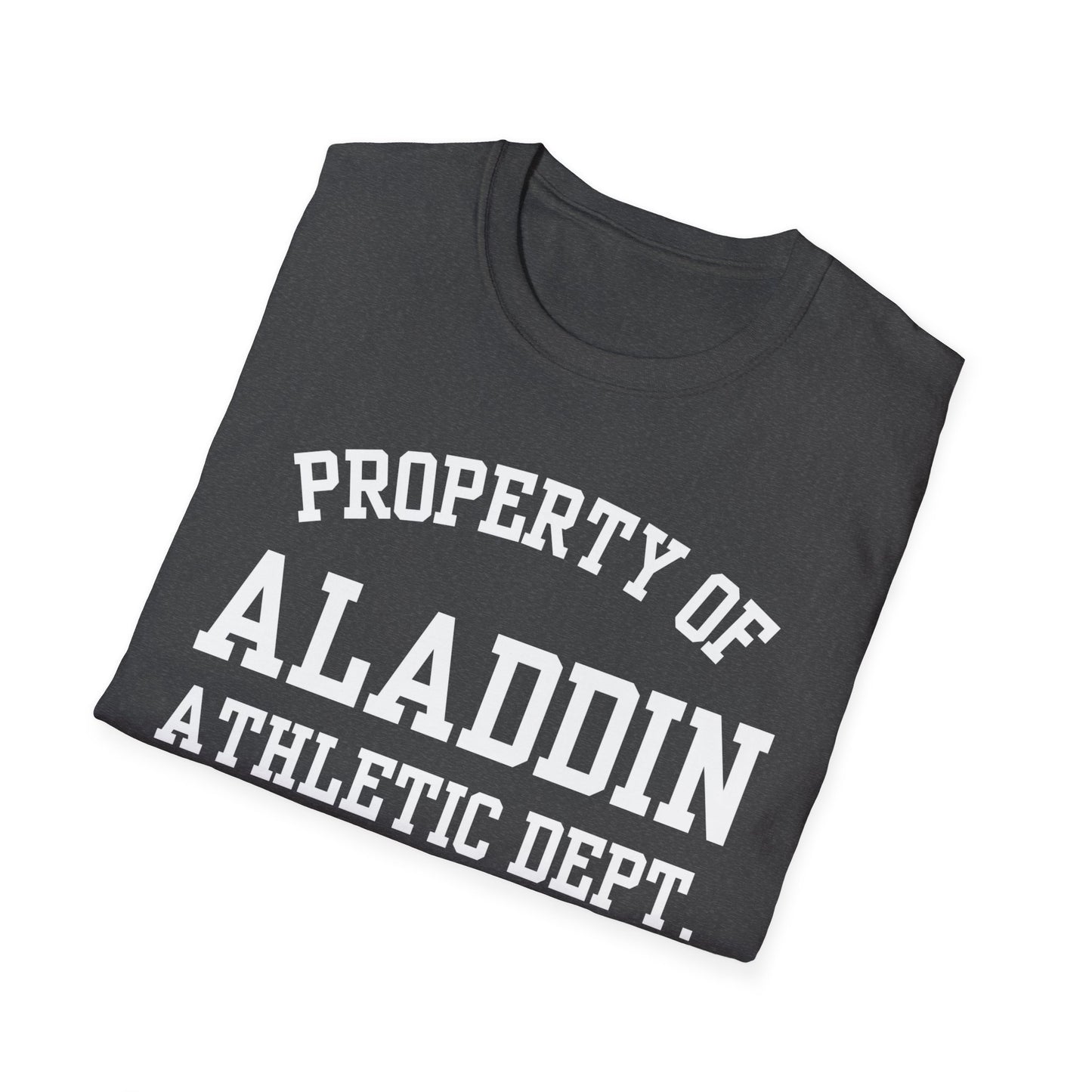 Aladdin Funny City Name T-Shirt novelty t-shirt local pride tee silly town tee custom city tee travel gift tee ironic tee quirky place tee