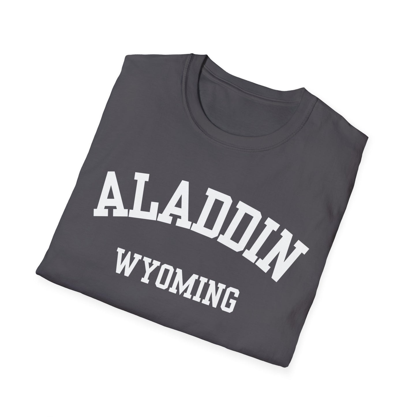 Aladdin Funny City Name T-Shirt weird town shirt silly town tee quirky place tee custom city tee sarcastic shirt travel gift tee