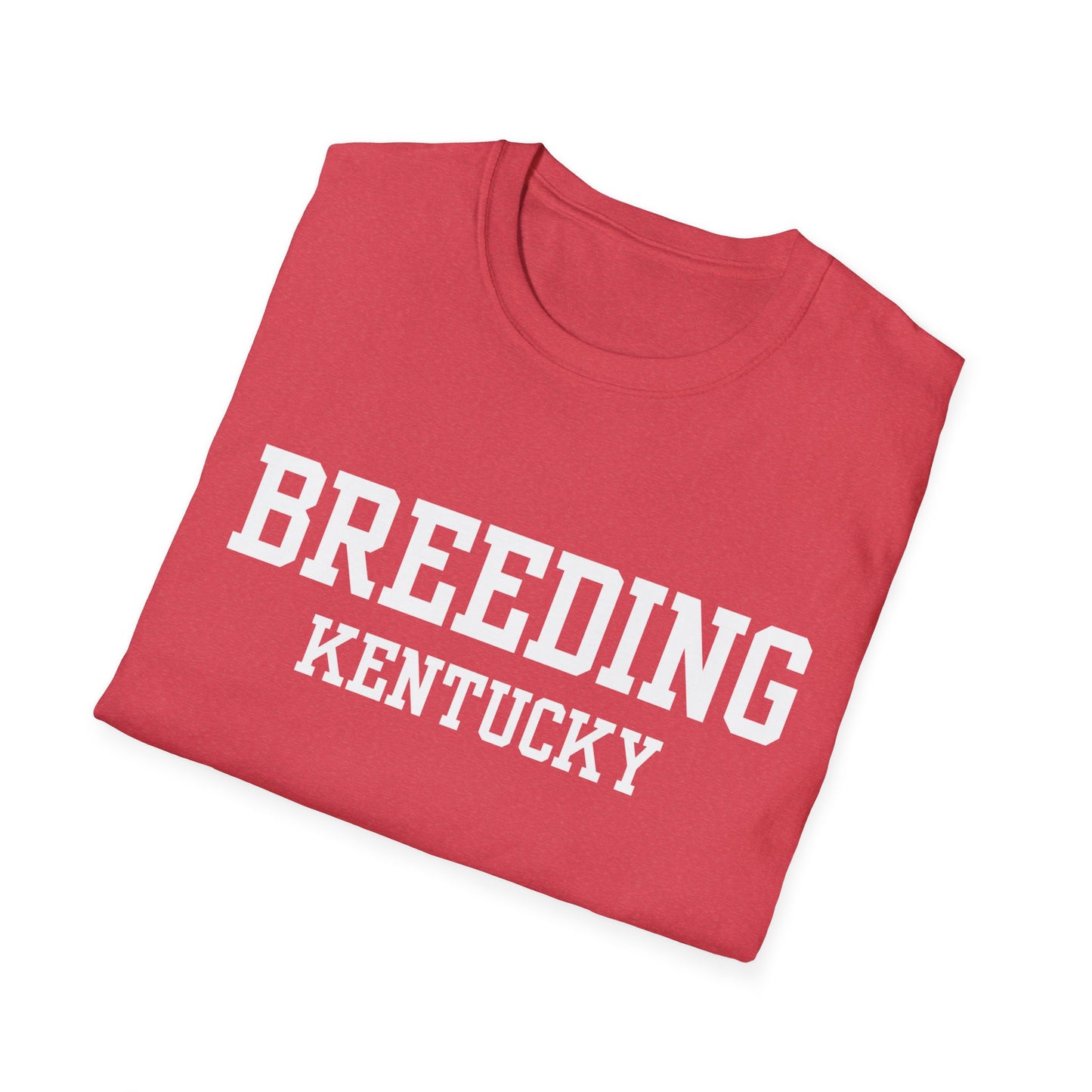 Breeding Funny City Name T-Shirt travel gift tee weird town shirt sarcastic shirt small town gift funny city name silly town tee
