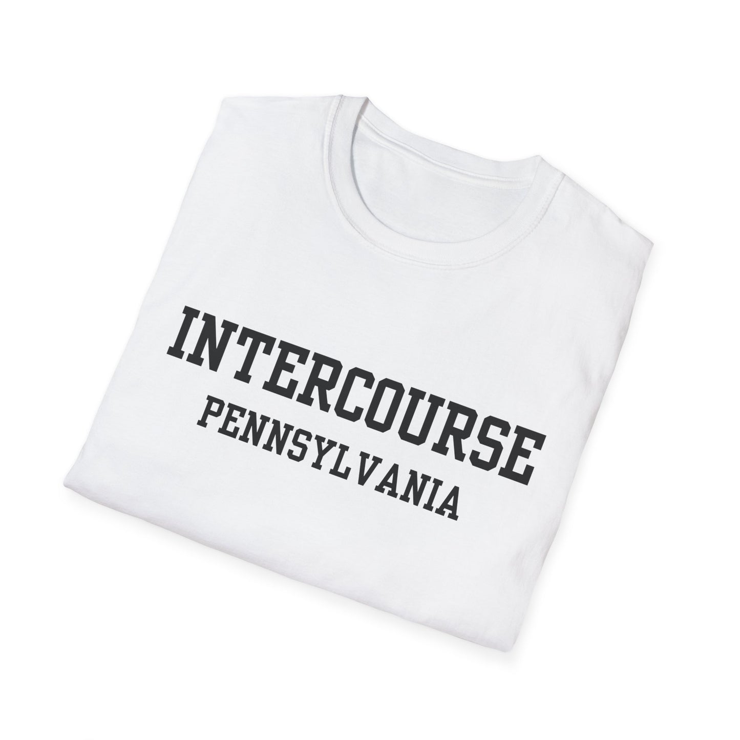 Intercourse Funny City Name T-Shirt gift for travelers unisex funny shirt hometown pride shirt retro city name shirt sarcastic graphic tee