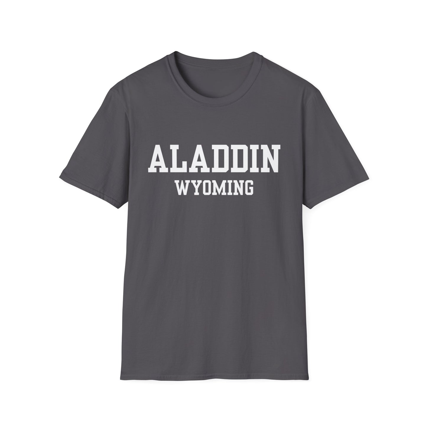 Aladdin Funny City Name T-Shirt silly town tee small town gift hometown humor novelty t-shirt gag gift tee travel gift tee weird town shirt
