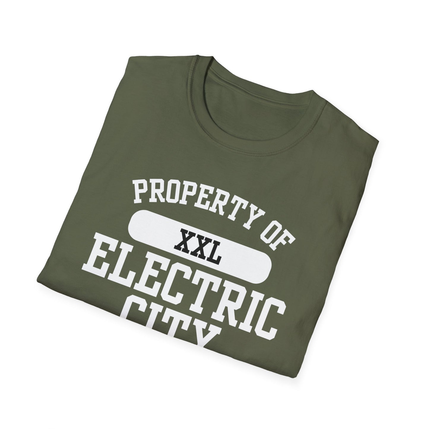 Electric City Funny City Name T-Shirt weird town shirt funny city name local pride tee hometown humor travel gift tee gag gift tee