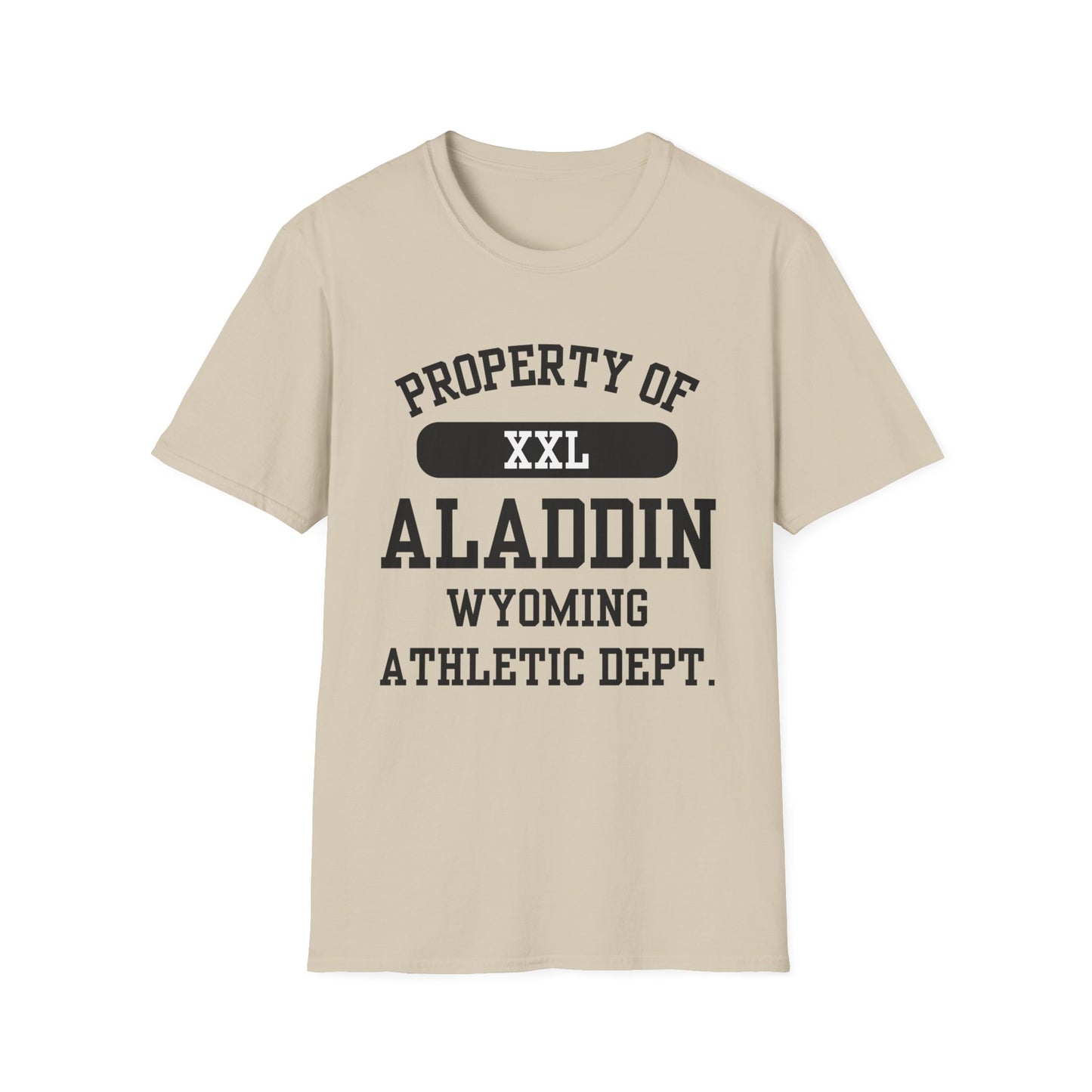 Aladdin Funny City Name T-Shirt retro city name shirt custom city t-shirt funny city name shirt sarcastic graphic tee unisex funny shirt