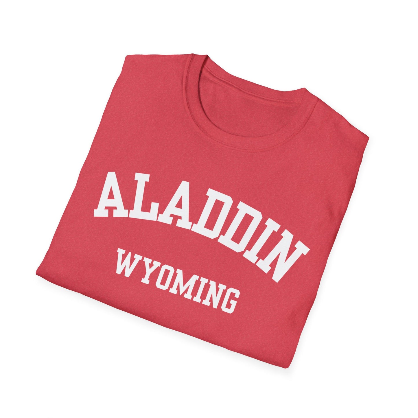 Aladdin Funny City Name T-Shirt weird town shirt silly town tee quirky place tee custom city tee sarcastic shirt travel gift tee