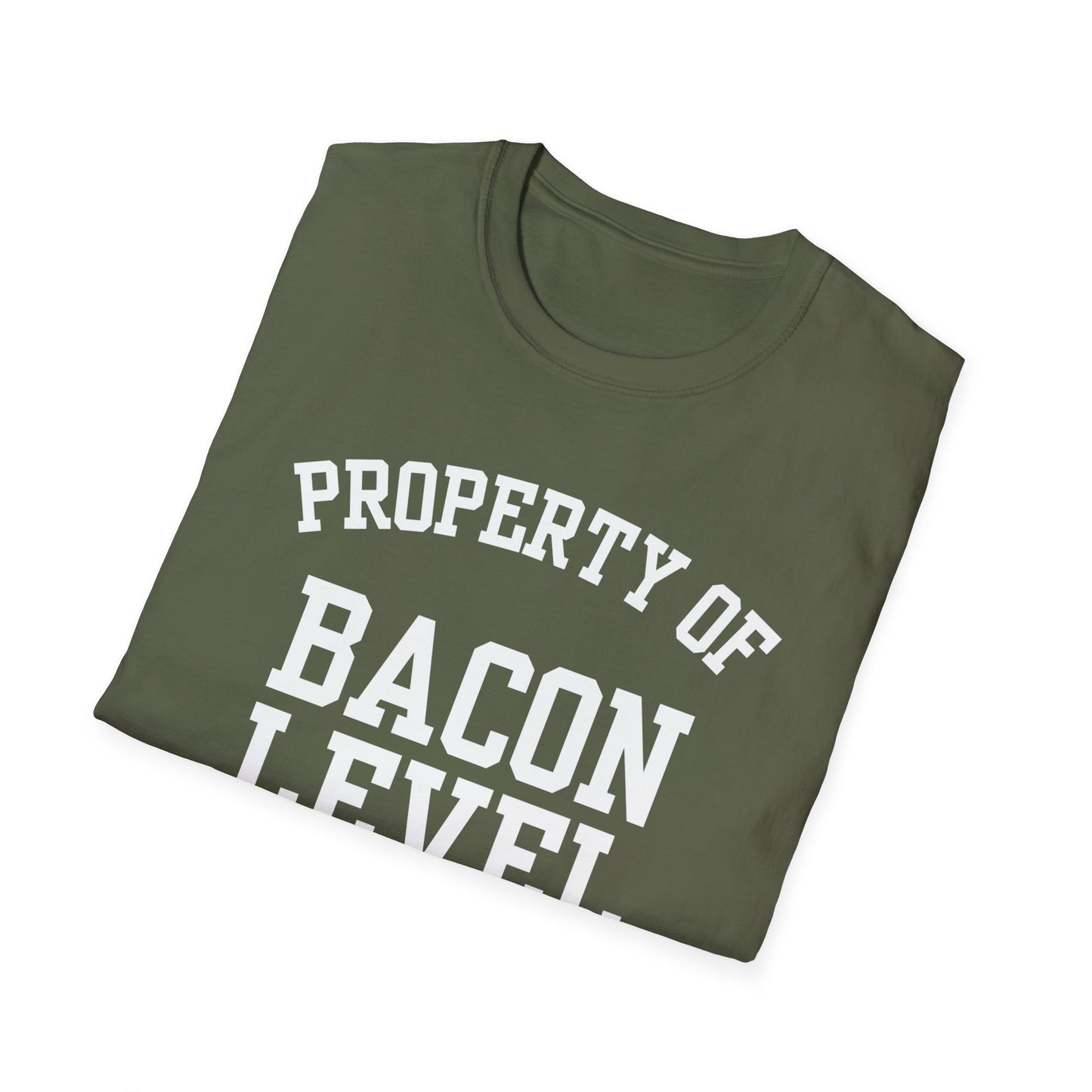 Bacon Level Funny City Name T-Shirt ironic tee quirky place tee local pride tee travel gift tee hometown humor novelty t-shirt small town gift