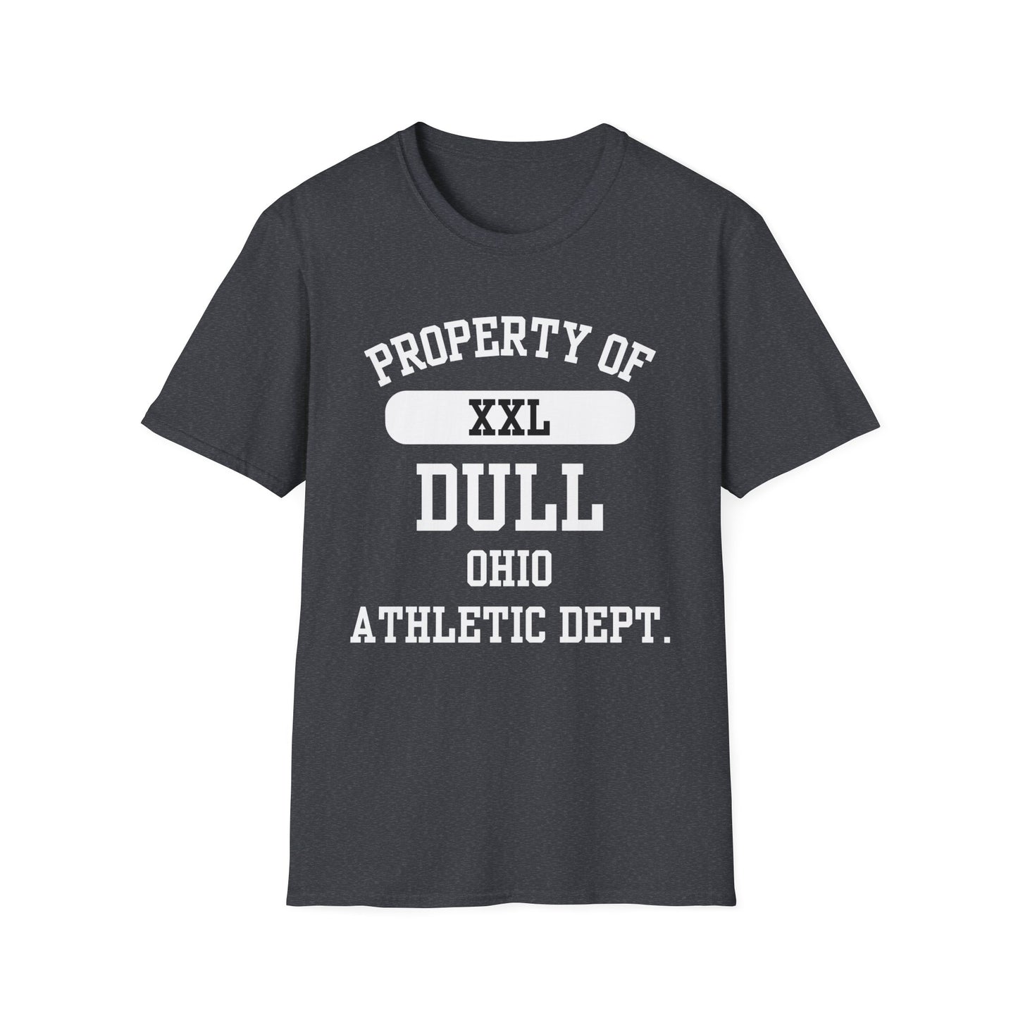 Dull Funny City Name T-Shirt ironic tee novelty t-shirt gag gift tee hometown humor silly town tee small town gift weird town shirt