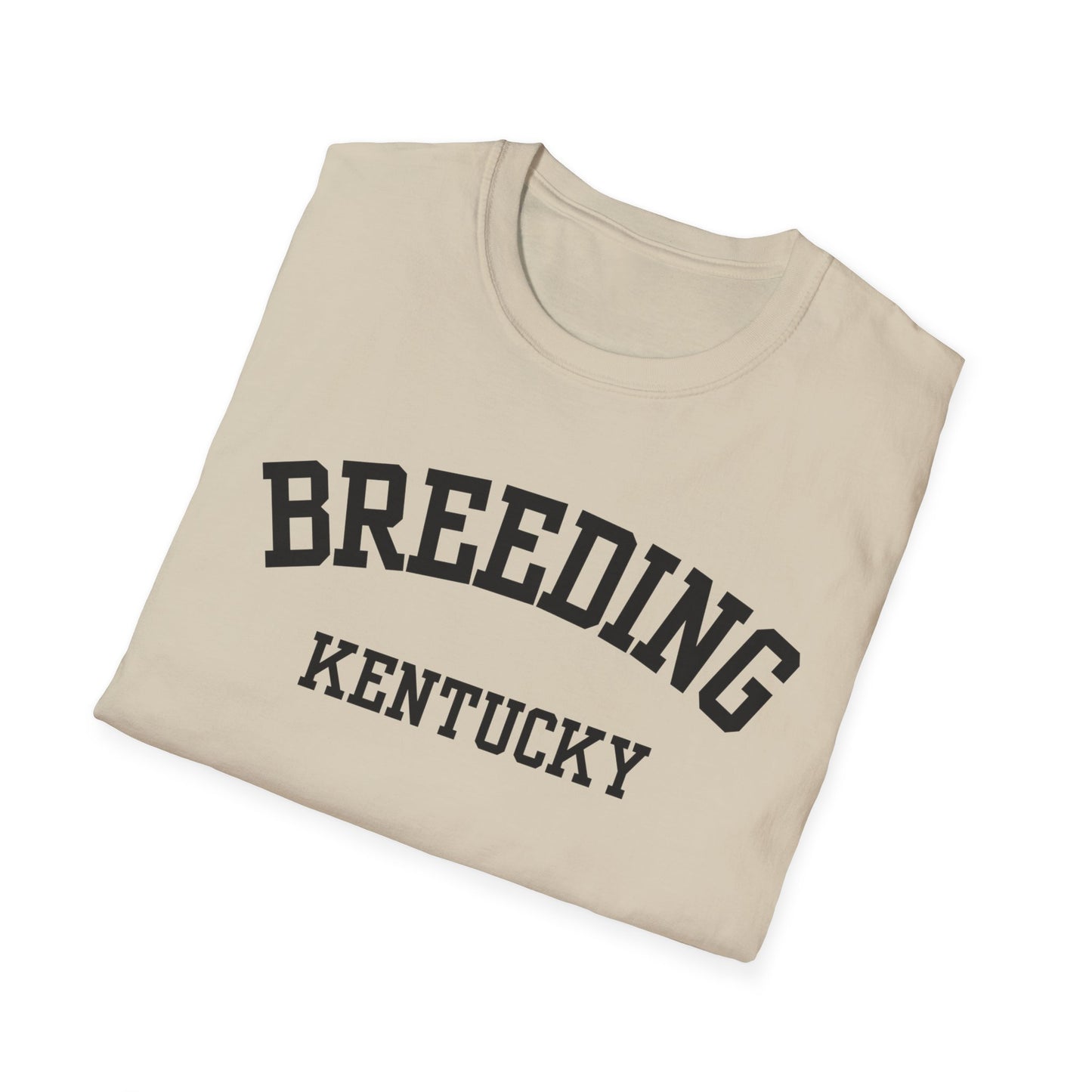 Breeding Funny City Name T-Shirt ironic tee gag gift tee small town gift novelty t-shirt quirky place tee hometown humor travel gift tee