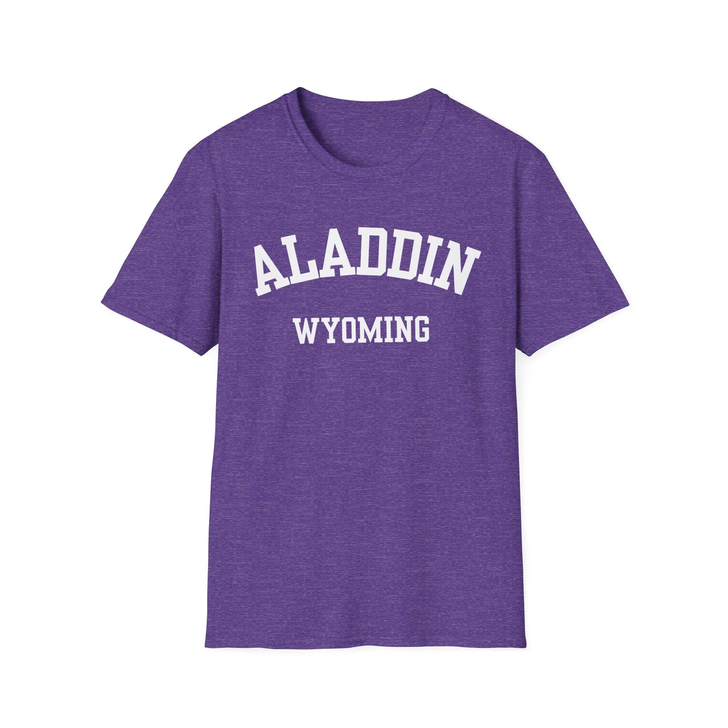 Aladdin Funny City Name T-Shirt weird town shirt silly town tee quirky place tee custom city tee sarcastic shirt travel gift tee