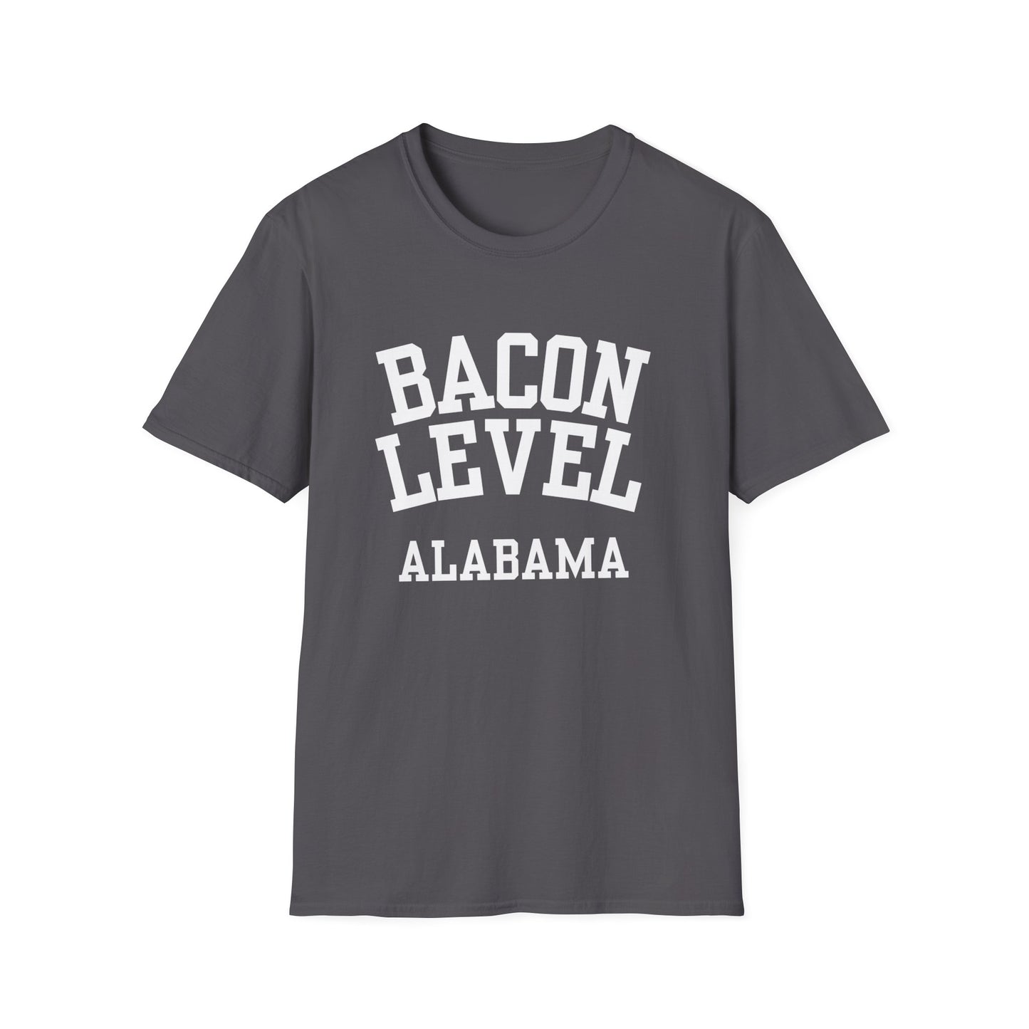 Bacon Level Funny City Name T-Shirt weird town shirt sarcastic shirt silly town tee local pride tee funny city name travel gift tee small town gift
