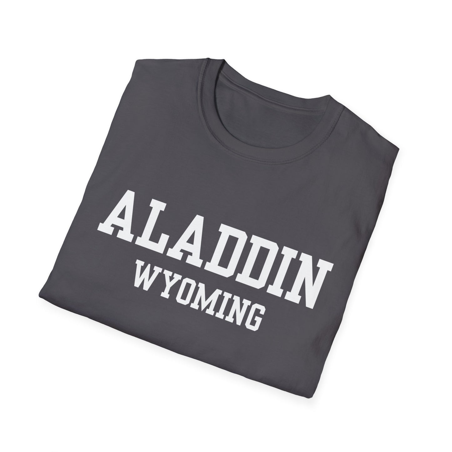 Aladdin Funny City Name T-Shirt silly town tee small town gift hometown humor novelty t-shirt gag gift tee travel gift tee weird town shirt