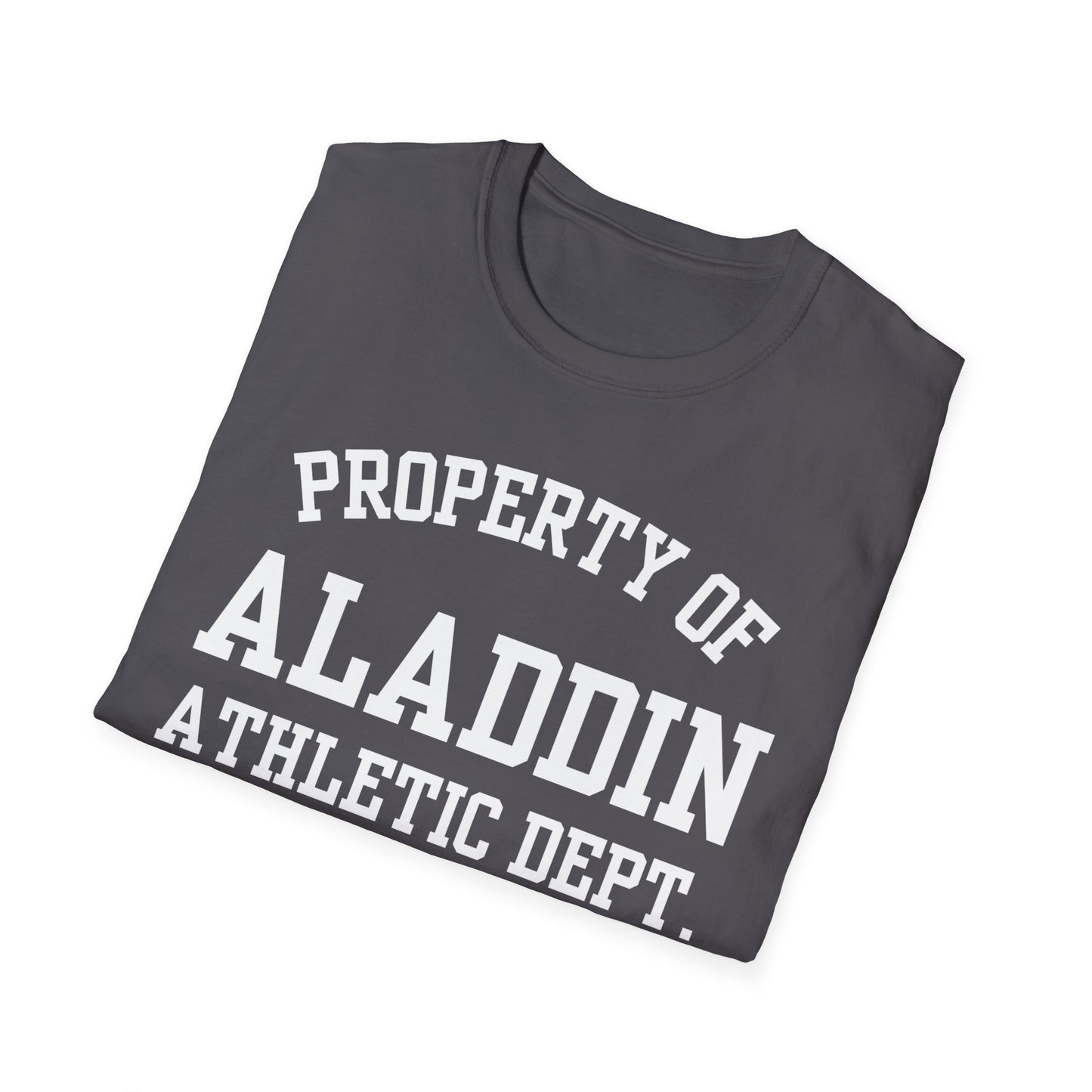 Aladdin Funny City Name T-Shirt novelty t-shirt local pride tee silly town tee custom city tee travel gift tee ironic tee quirky place tee