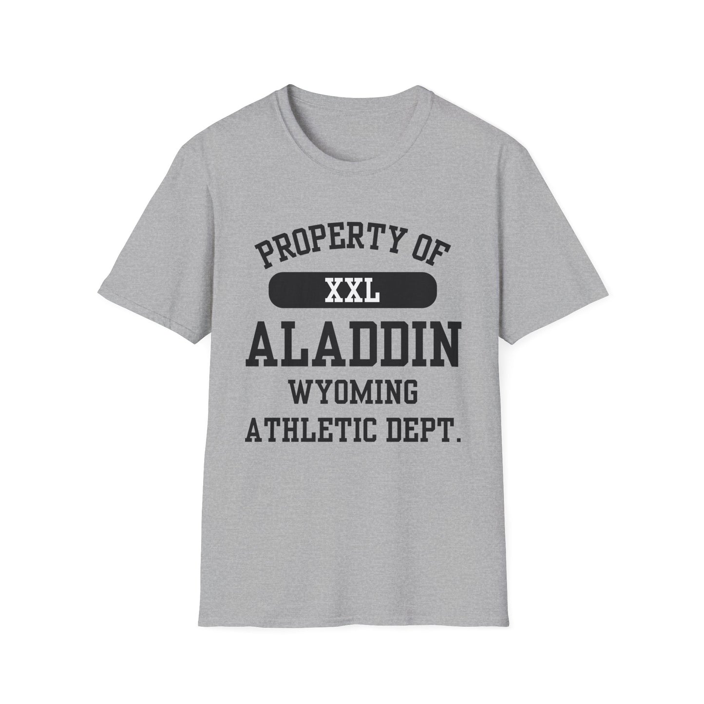 Aladdin Funny City Name T-Shirt retro city name shirt custom city t-shirt funny city name shirt sarcastic graphic tee unisex funny shirt