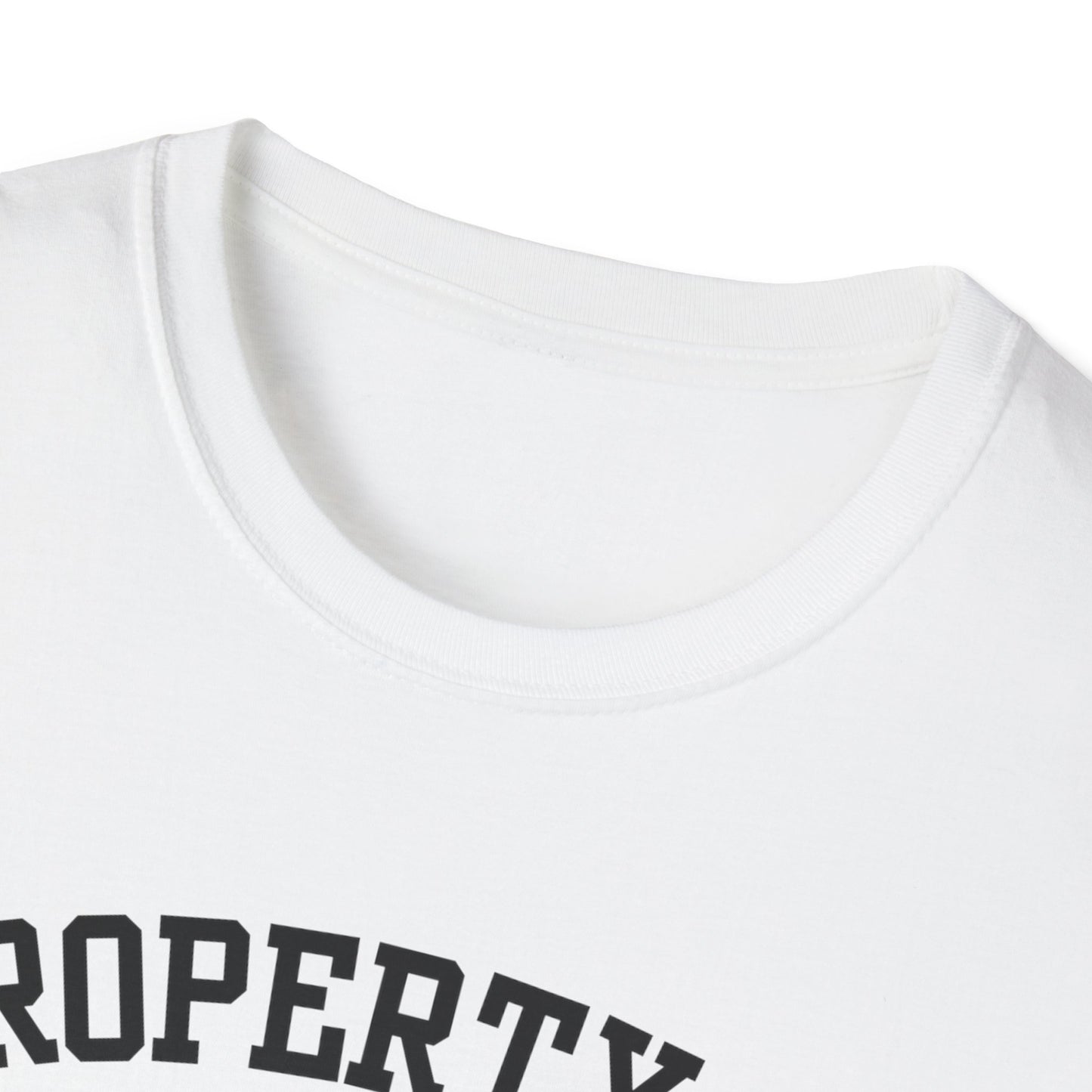 Dull Funny City Name T-Shirt novelty t-shirt sarcastic shirt local pride tee small town gift ironic tee hometown humor quirky place tee