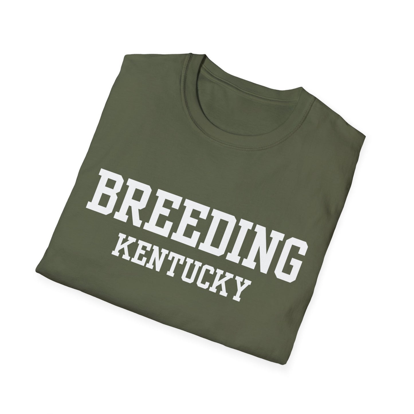 Breeding Funny City Name T-Shirt travel gift tee weird town shirt sarcastic shirt small town gift funny city name silly town tee