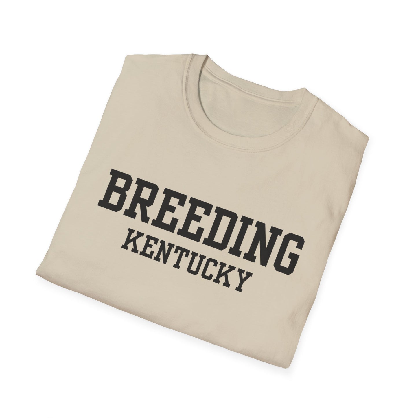 Breeding Funny City Name T-Shirt novelty t-shirt small town gift weird town shirt funny city name travel gift tee ironic tee