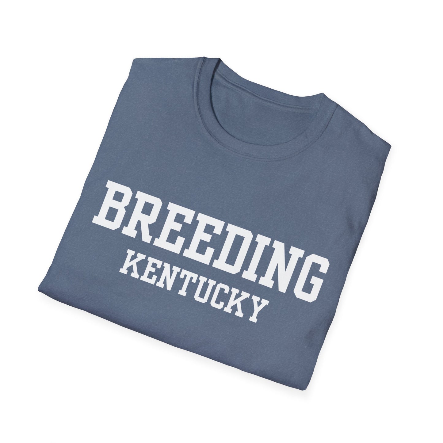 Breeding Funny City Name T-Shirt travel gift tee weird town shirt sarcastic shirt small town gift funny city name silly town tee