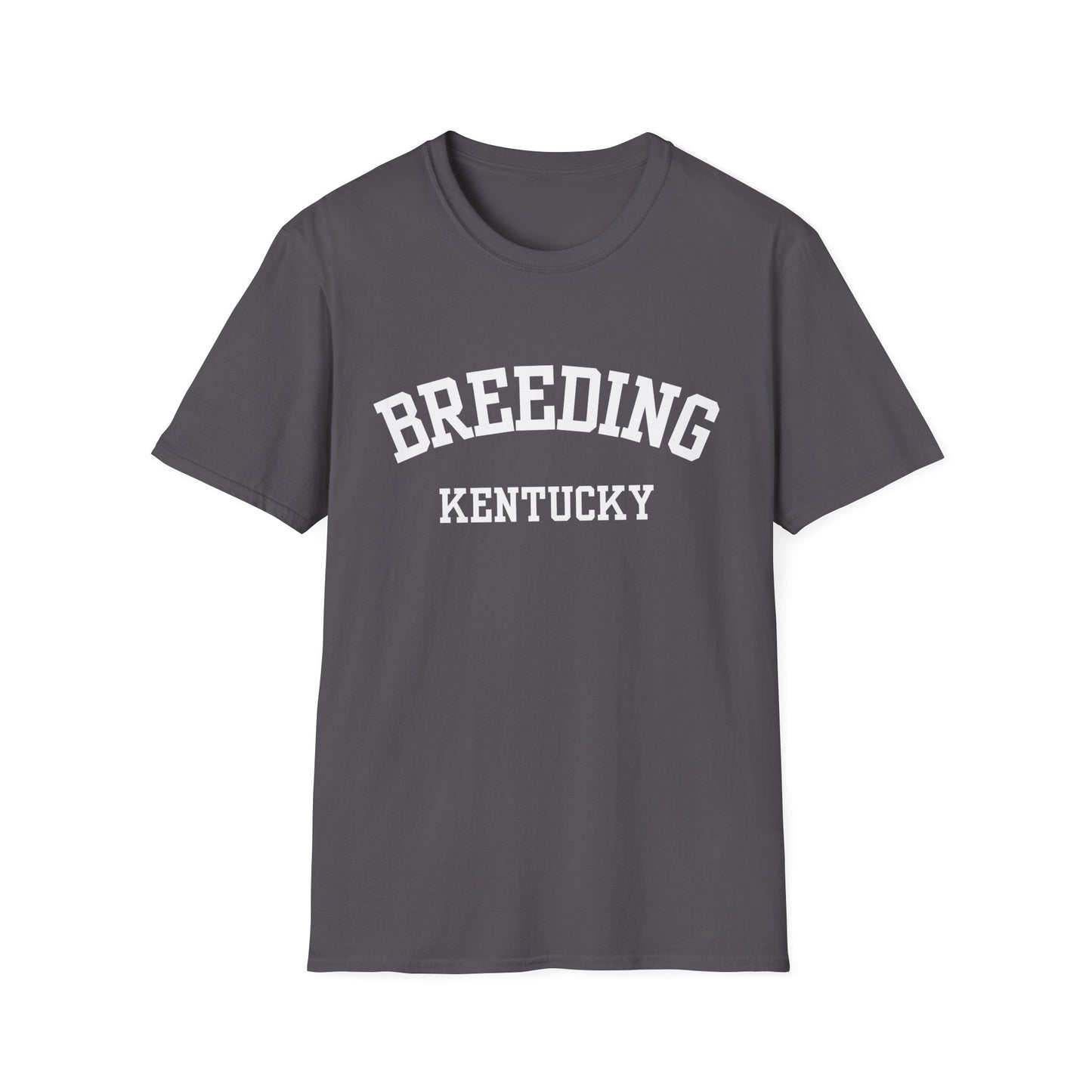 Breeding Funny City Name T-Shirt small town gift silly town tee travel gift tee gag gift tee sarcastic shirt ironic tee hometown humor