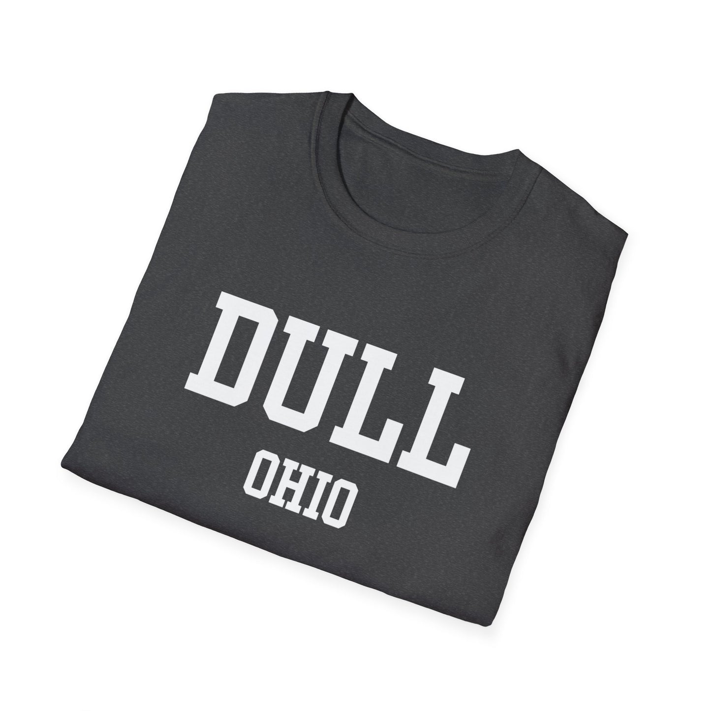 Dull Funny City Name T-Shirt small town gift ironic tee gag gift tee quirky place tee travel gift tee funny city name sarcastic shirt