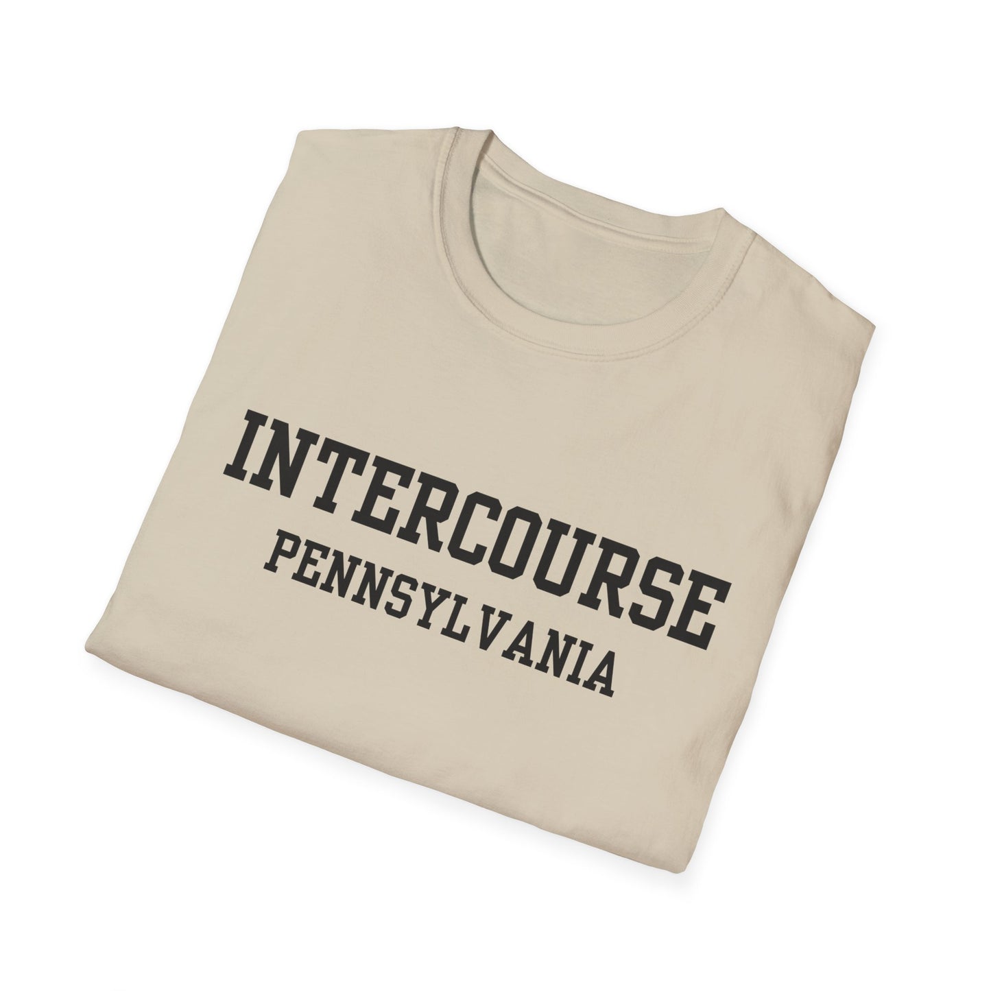 Intercourse Funny City Name T-Shirt gift for travelers unisex funny shirt hometown pride shirt retro city name shirt sarcastic graphic tee