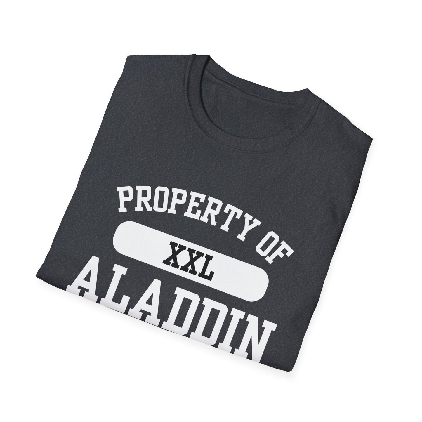 Aladdin Funny City Name T-Shirt ironic tee silly town tee quirky place tee sarcastic shirt travel gift tee funny city name custom city tee