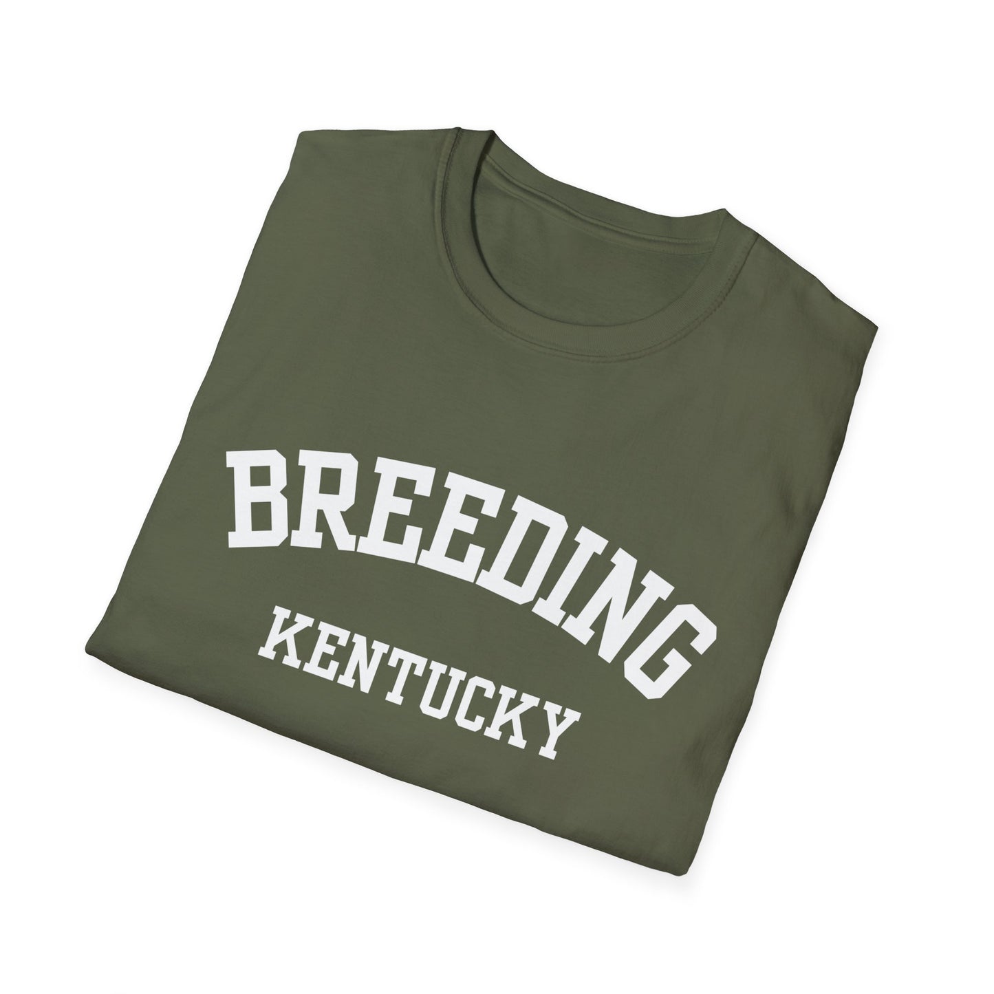 Breeding Funny City Name T-Shirt small town gift silly town tee travel gift tee gag gift tee sarcastic shirt ironic tee hometown humor