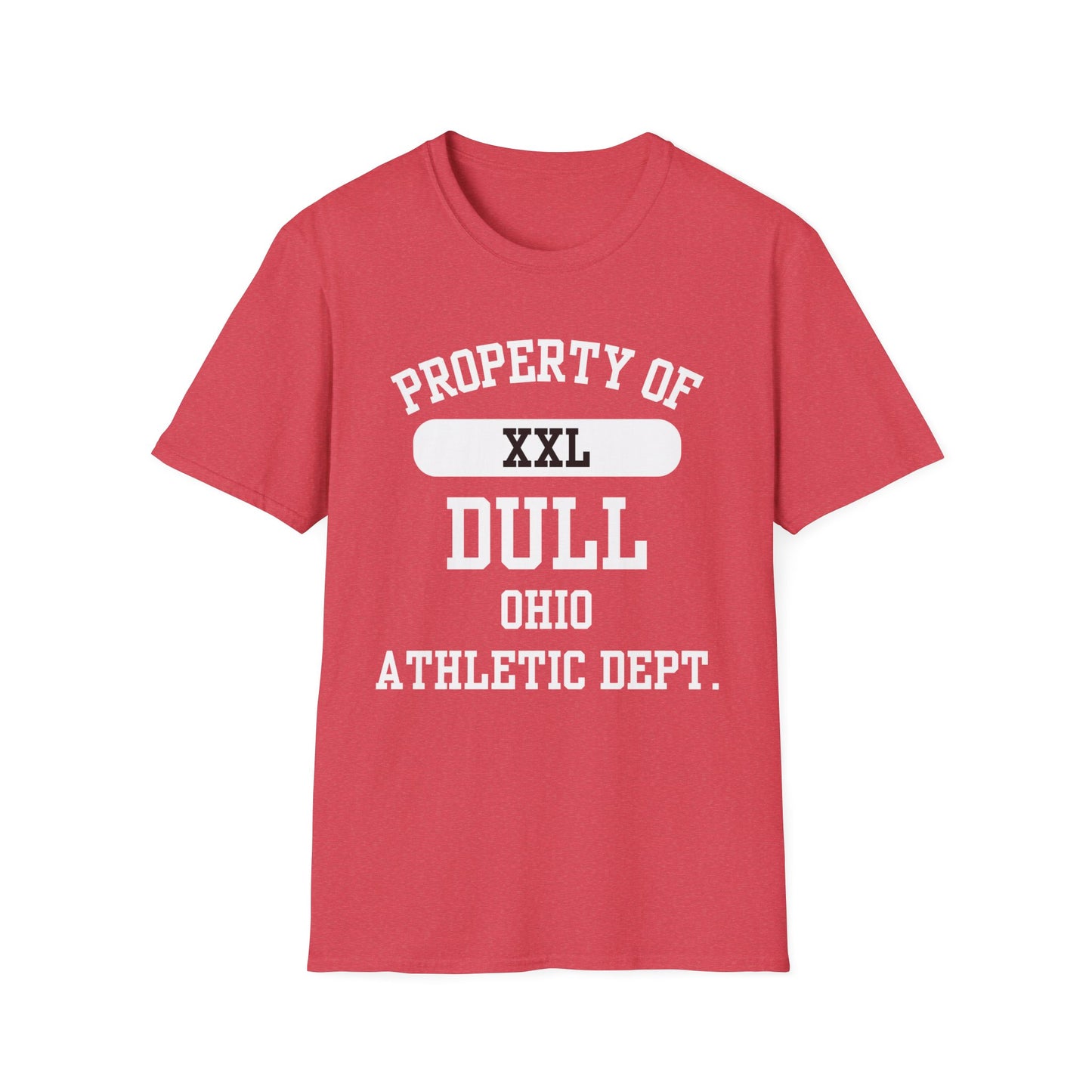 Dull Funny City Name T-Shirt ironic tee novelty t-shirt gag gift tee hometown humor silly town tee small town gift weird town shirt