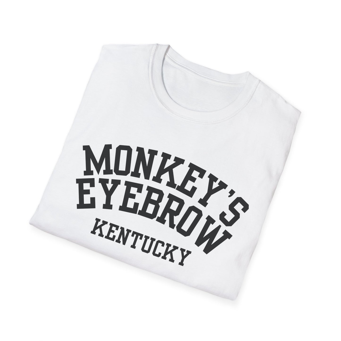 Monkey's Eyebrow Funny City Name T-Shirt quirky town shirt retro city name shirt unisex funny shirt funny city name shirt sarcastic graphic tee