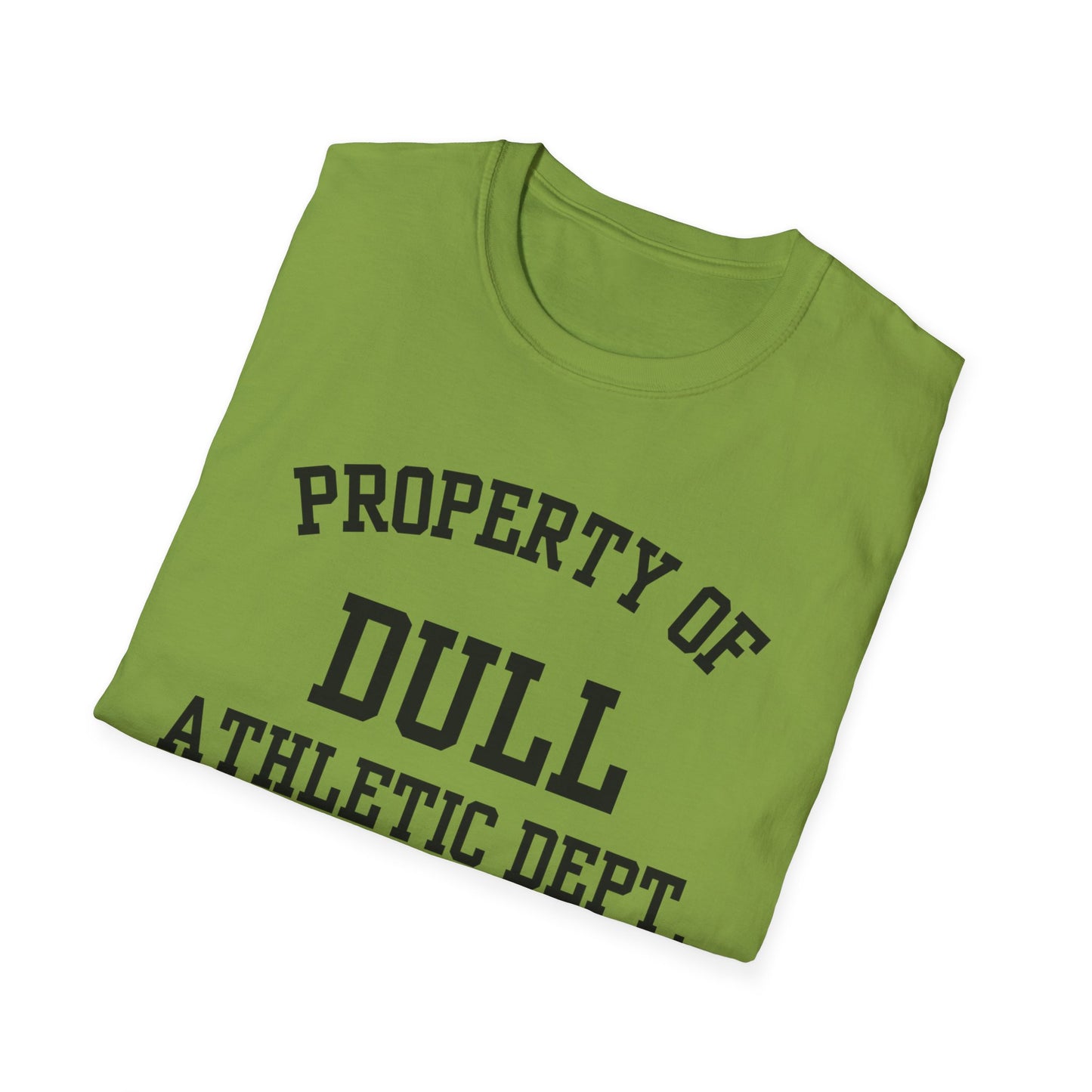Dull Funny City Name T-Shirt novelty t-shirt sarcastic shirt local pride tee small town gift ironic tee hometown humor quirky place tee