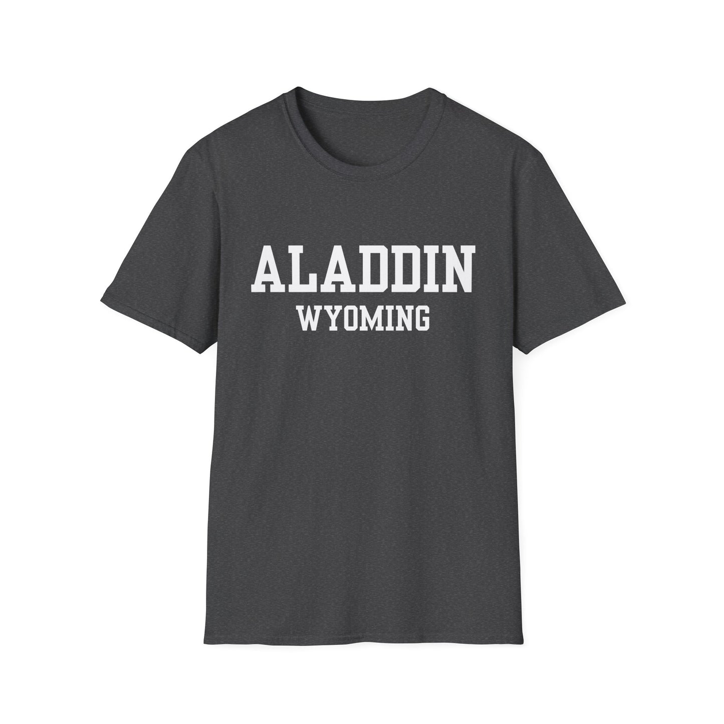 Aladdin Funny City Name T-Shirt silly town tee small town gift hometown humor novelty t-shirt gag gift tee travel gift tee weird town shirt