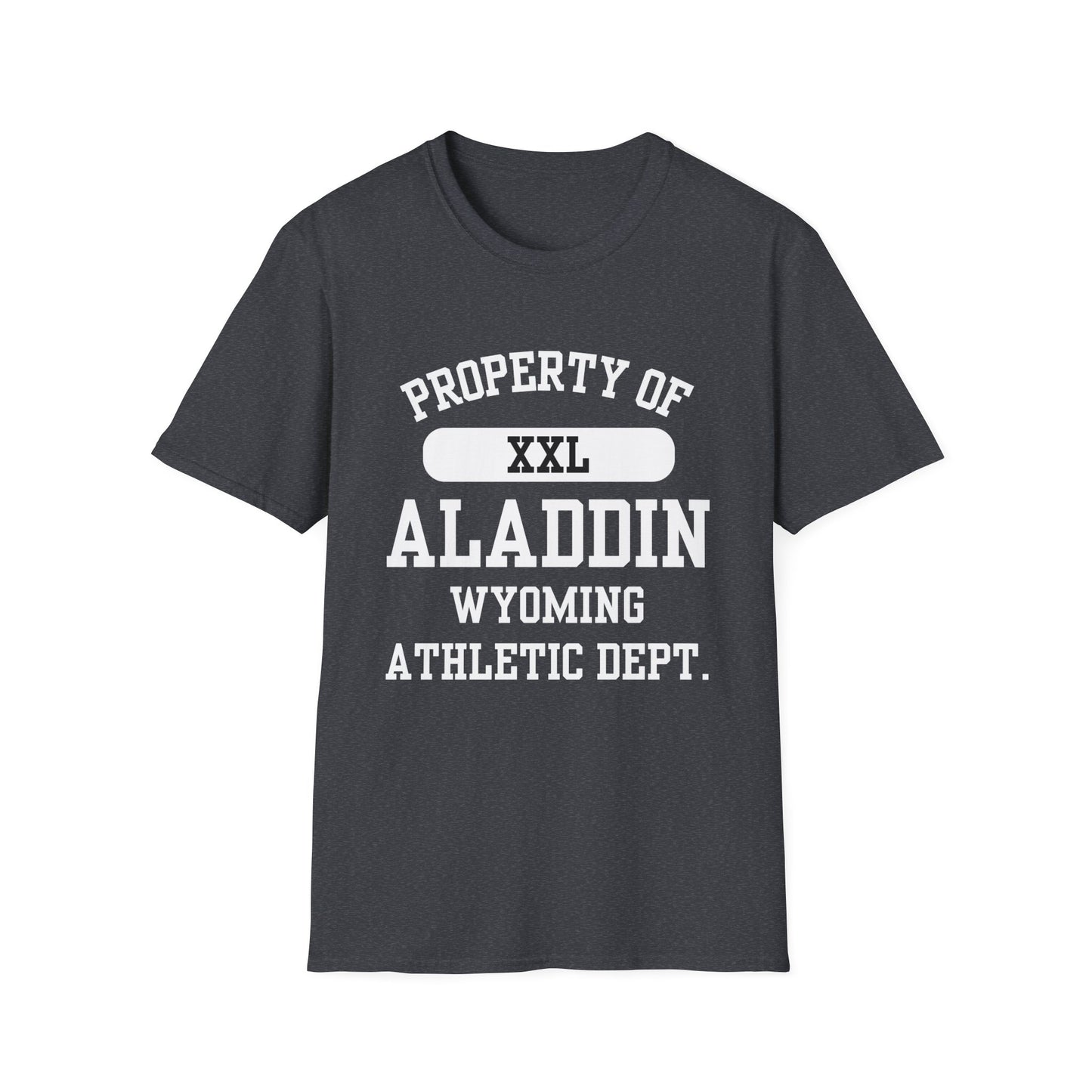 Aladdin Funny City Name T-Shirt ironic tee silly town tee quirky place tee sarcastic shirt travel gift tee funny city name custom city tee