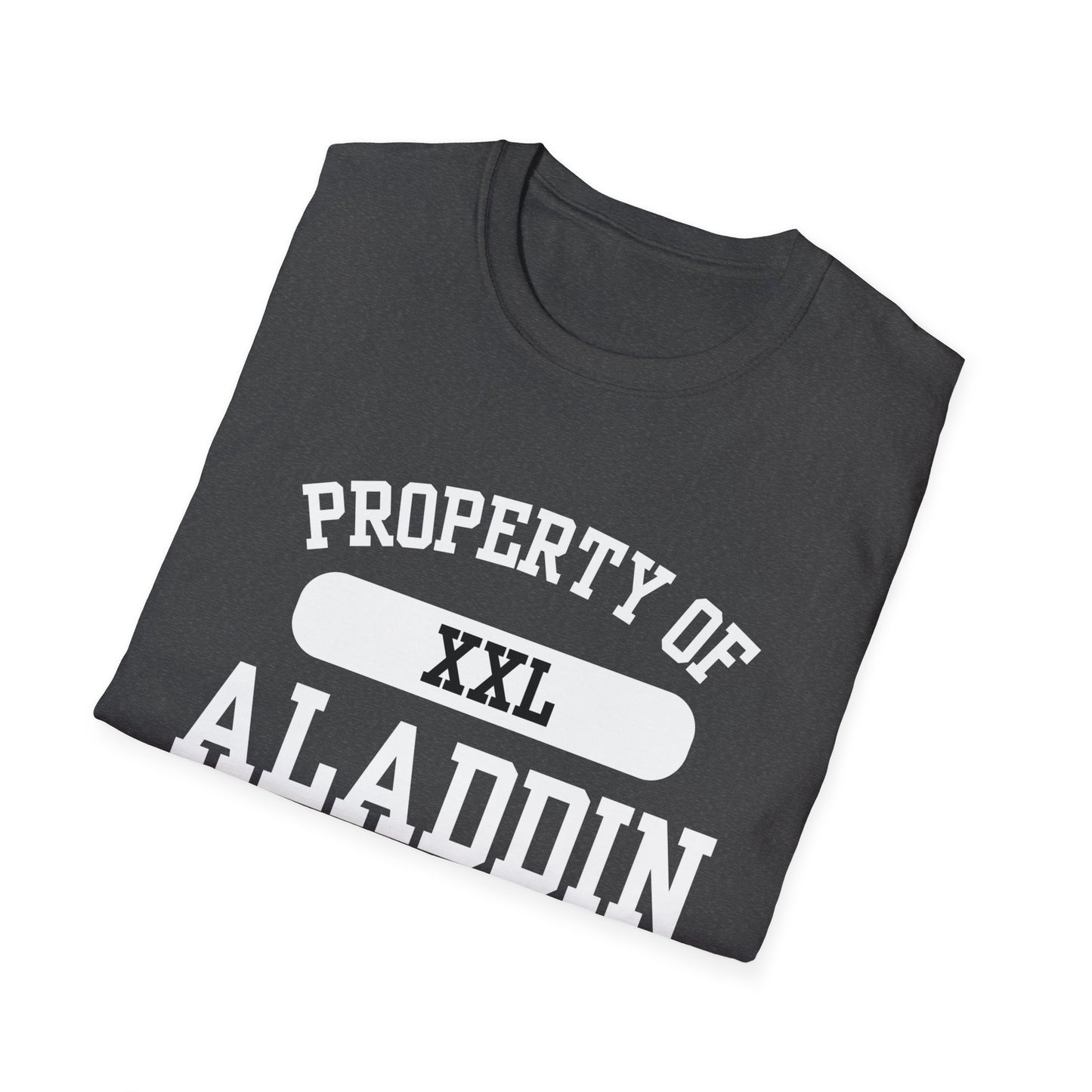 Aladdin Funny City Name T-Shirt ironic tee silly town tee quirky place tee sarcastic shirt travel gift tee funny city name custom city tee