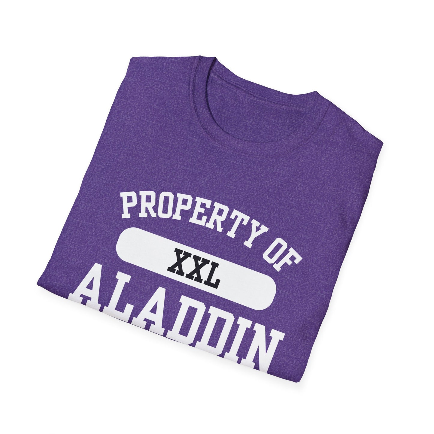 Aladdin Funny City Name T-Shirt ironic tee silly town tee quirky place tee sarcastic shirt travel gift tee funny city name custom city tee