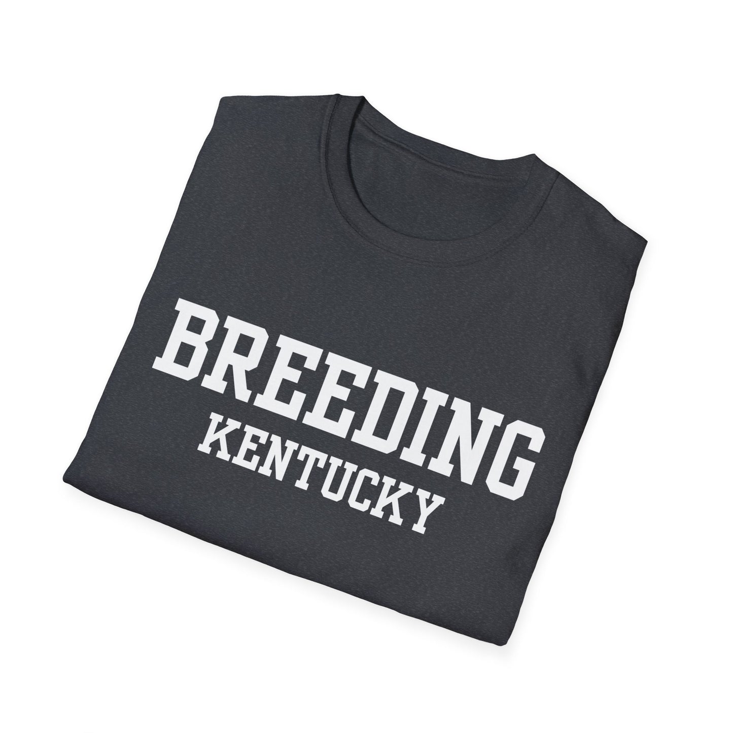 Breeding Funny City Name T-Shirt travel gift tee weird town shirt sarcastic shirt small town gift funny city name silly town tee