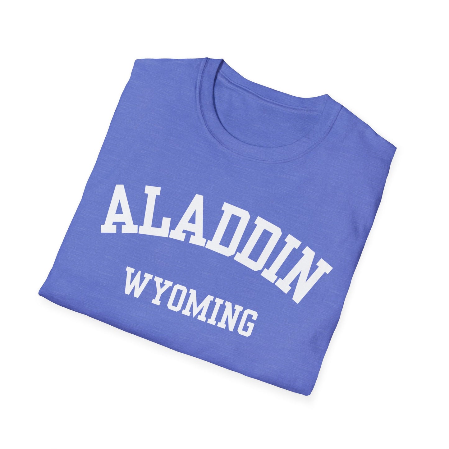 Aladdin Funny City Name T-Shirt weird town shirt silly town tee quirky place tee custom city tee sarcastic shirt travel gift tee
