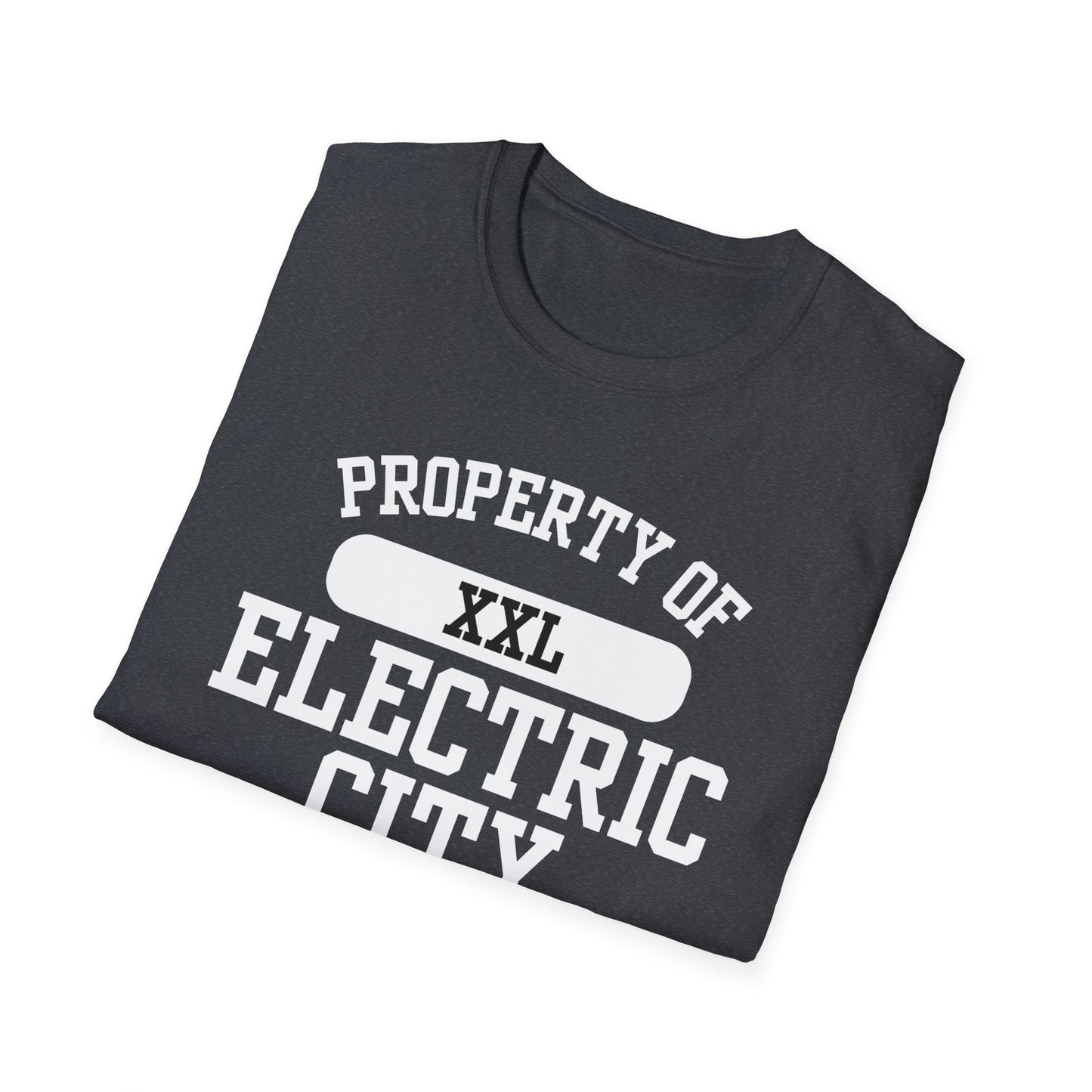 Electric City Funny City Name T-Shirt weird town shirt funny city name local pride tee hometown humor travel gift tee gag gift tee