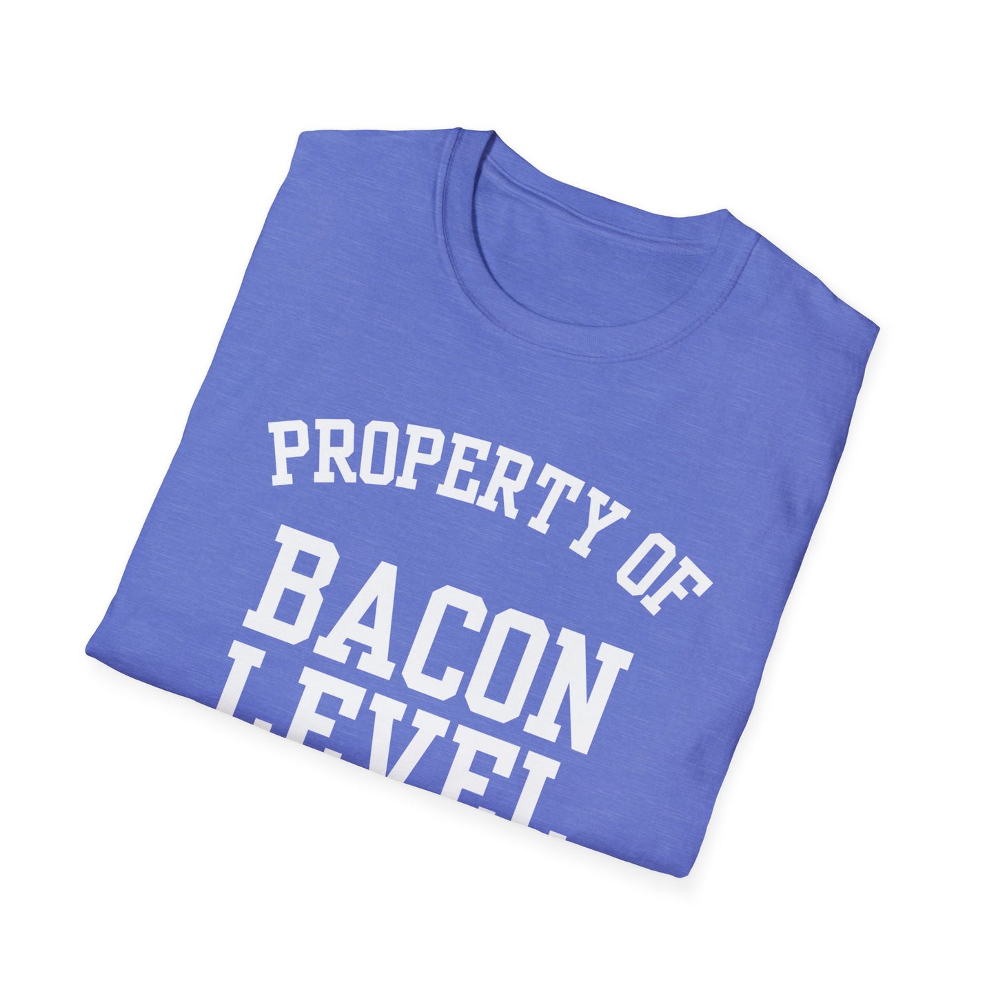 Bacon Level Funny City Name T-Shirt ironic tee quirky place tee local pride tee travel gift tee hometown humor novelty t-shirt small town gift